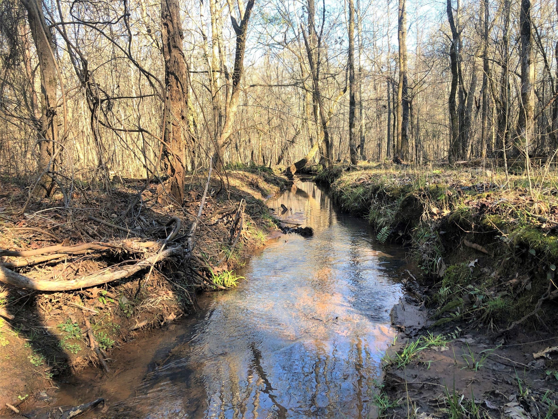 Hillsboro, Jasper County, GA Recreational Property, Timberland Property