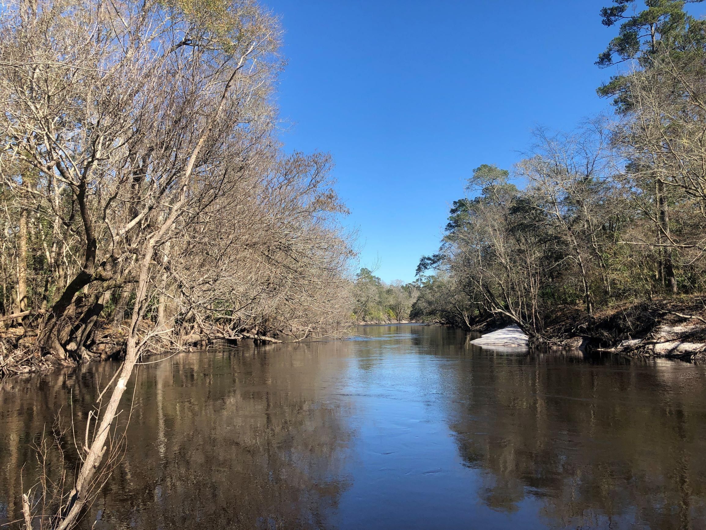 Saint Charlton County, GA Recreational Property, Timberland