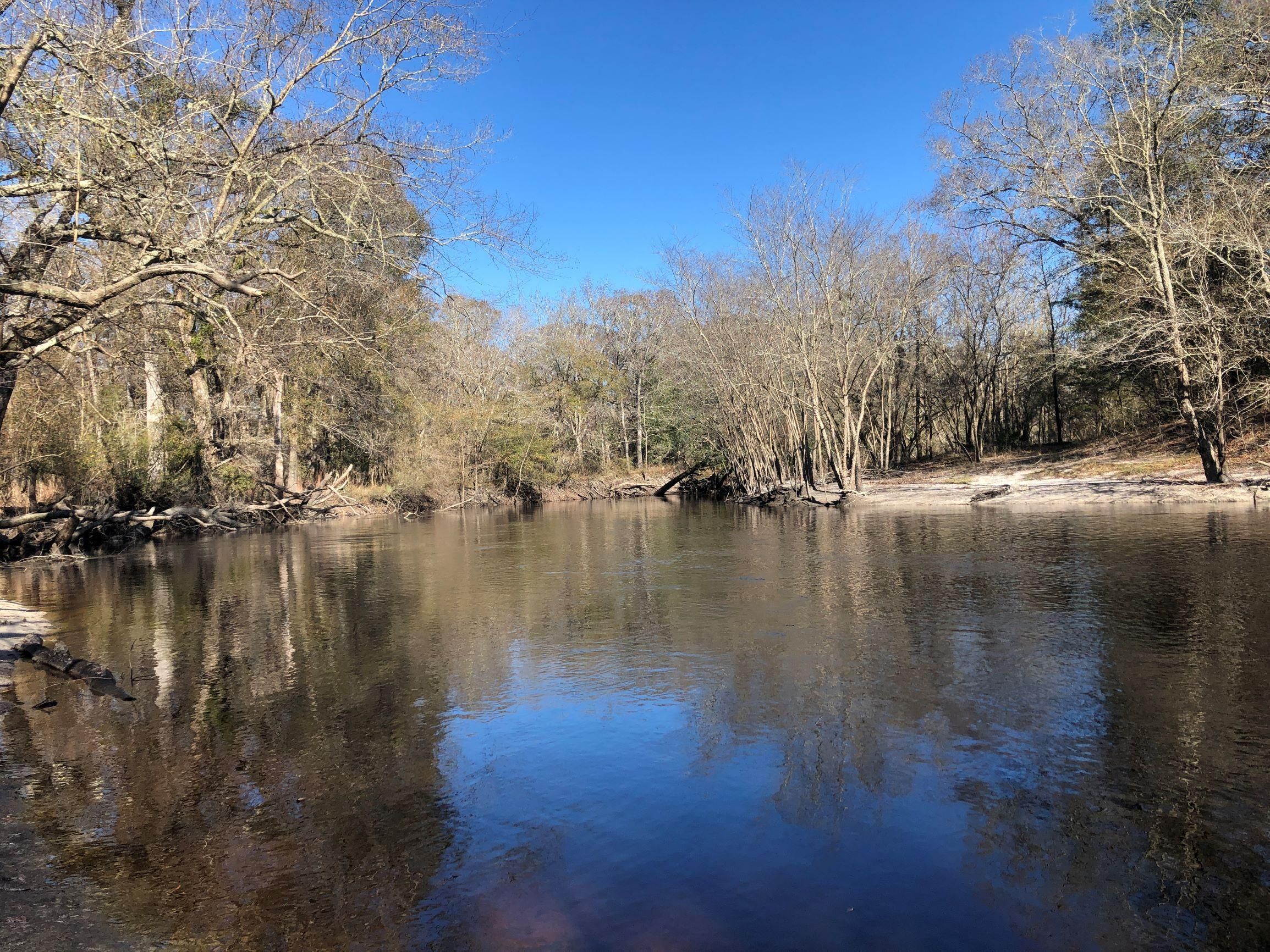 Saint Charlton County, GA Recreational Property, Timberland