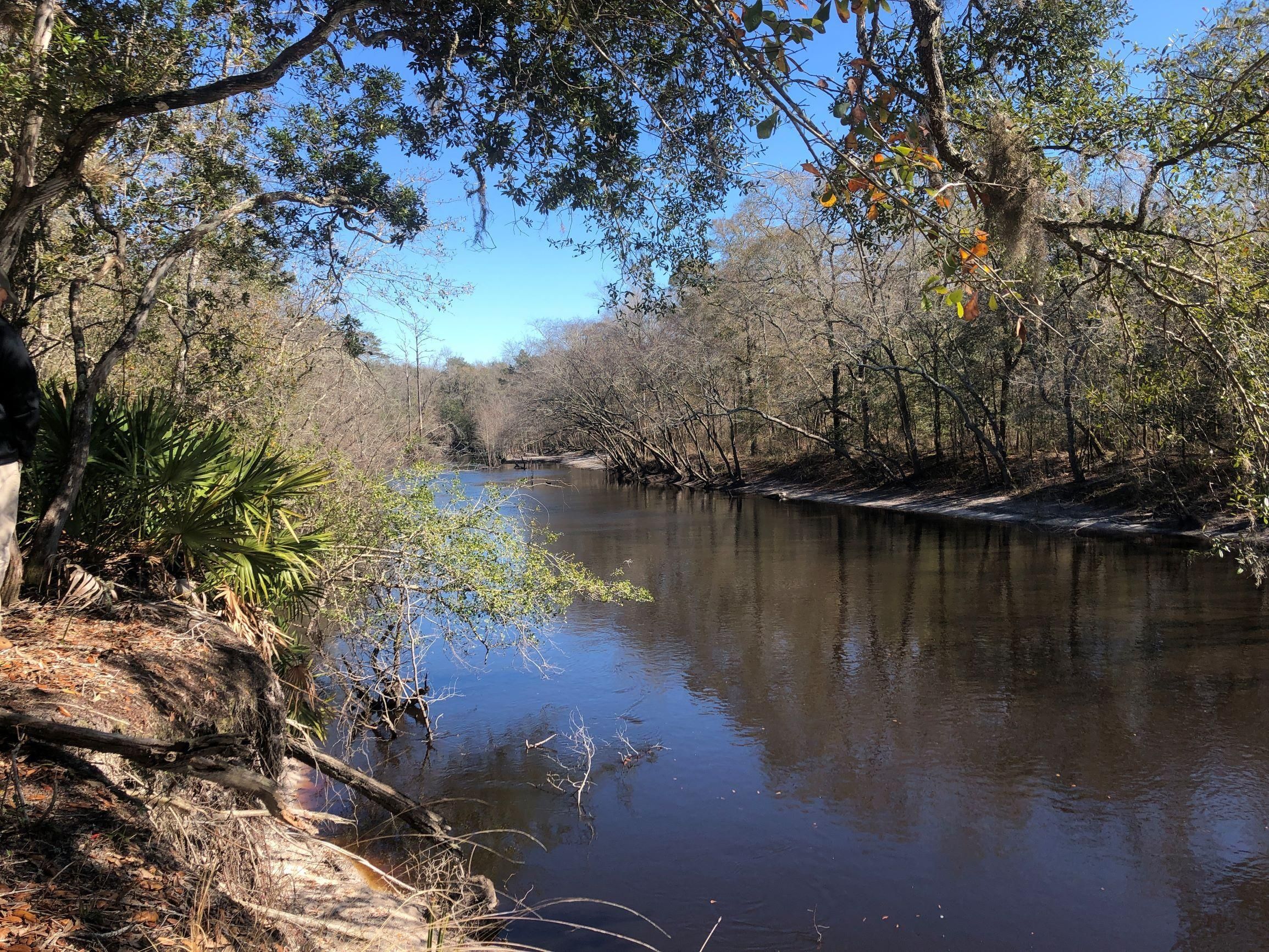 Saint Charlton County, GA Recreational Property, Timberland