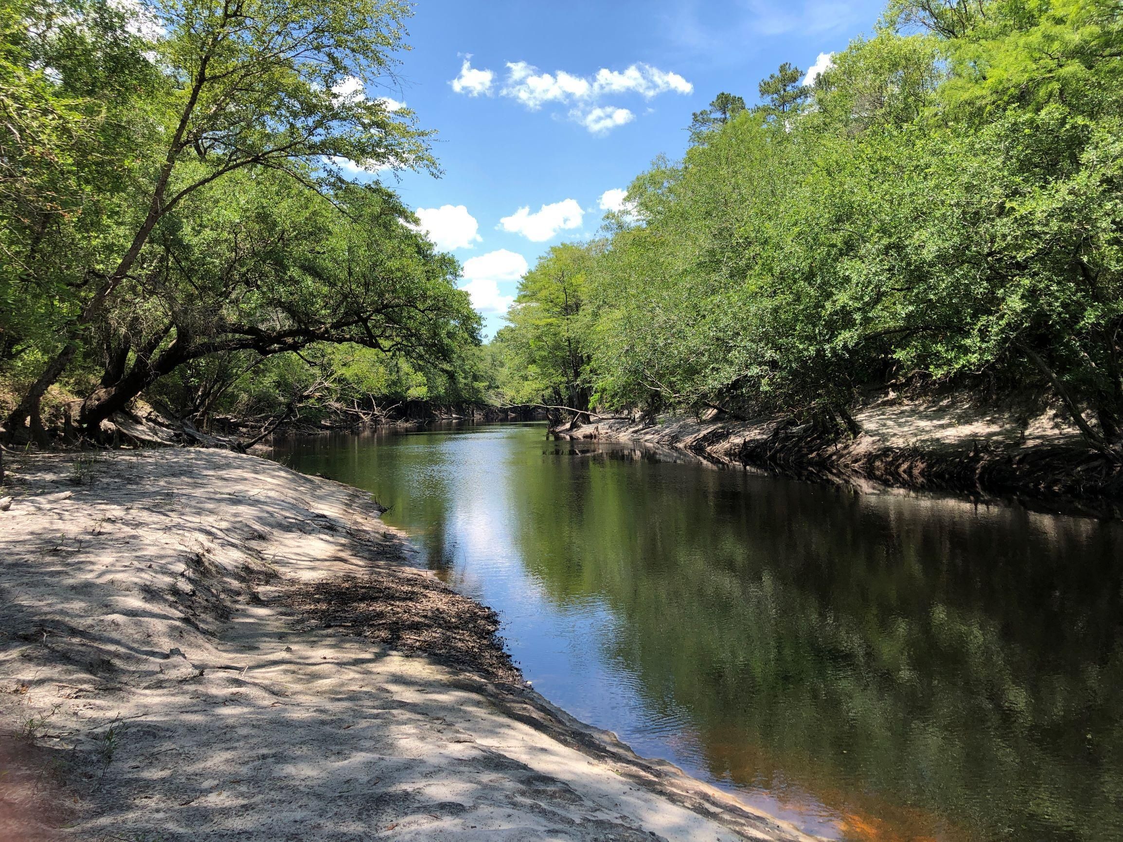 Saint Charlton County, GA Recreational Property, Timberland