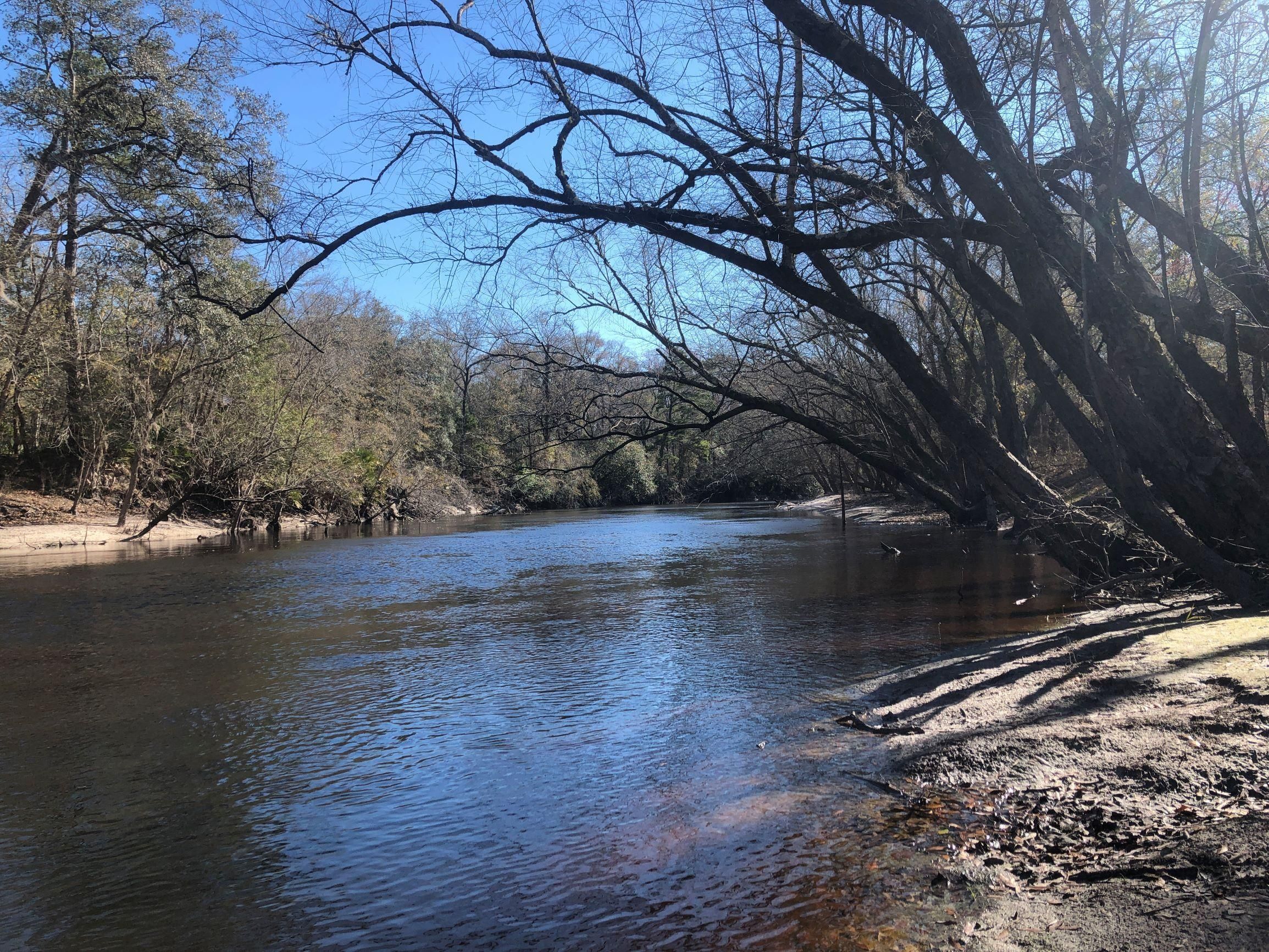 Saint Charlton County, GA Recreational Property, Timberland