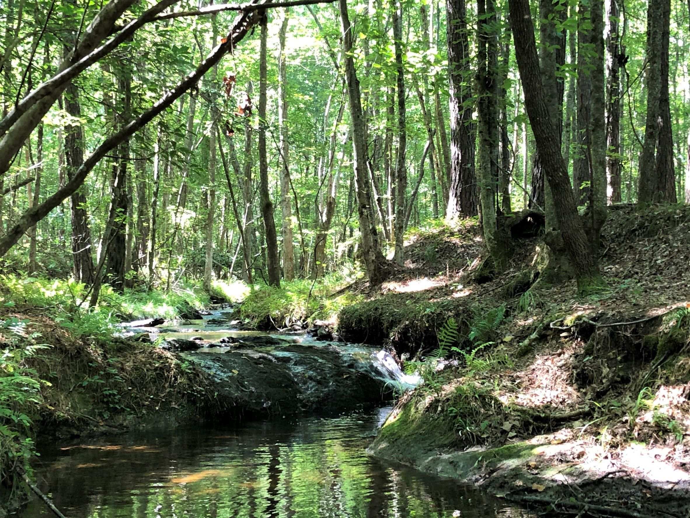 Warm Springs, Meriwether County, GA Recreational Property, Timberland