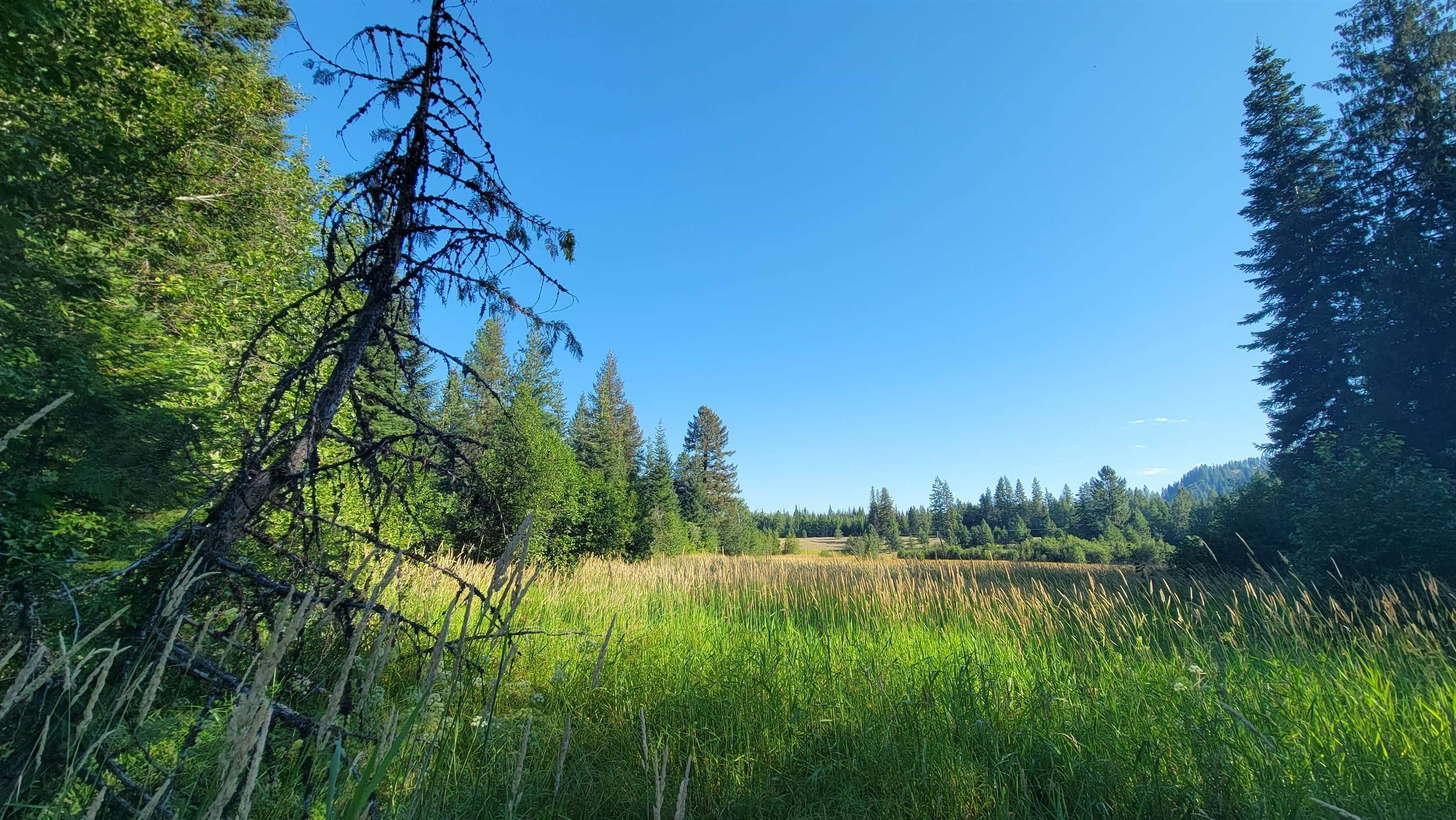Newport, Pend Oreille County, WA Undeveloped Land for sale Property ID