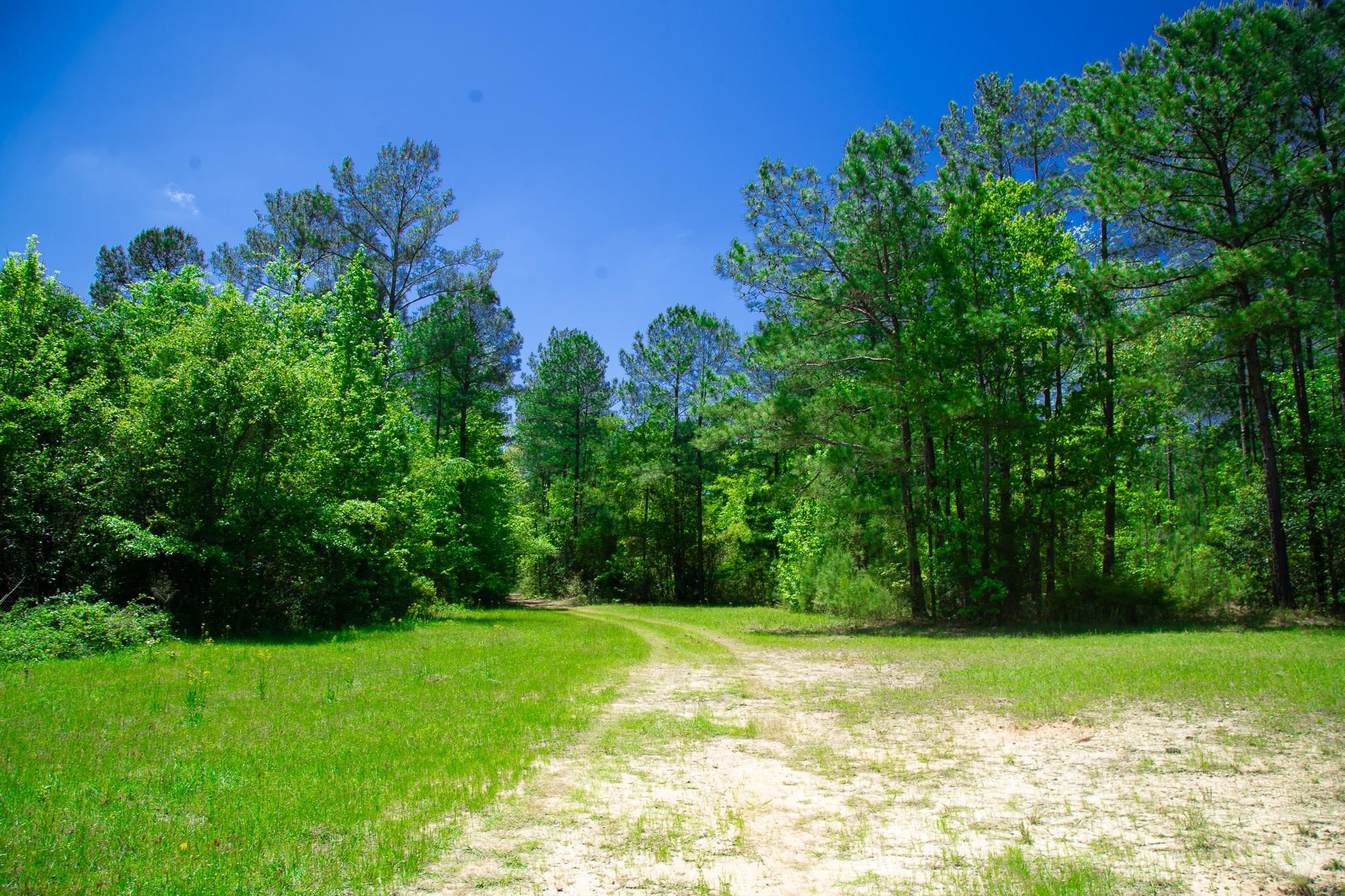 James Posey Road, Junction City, GA 31812 LandWatch