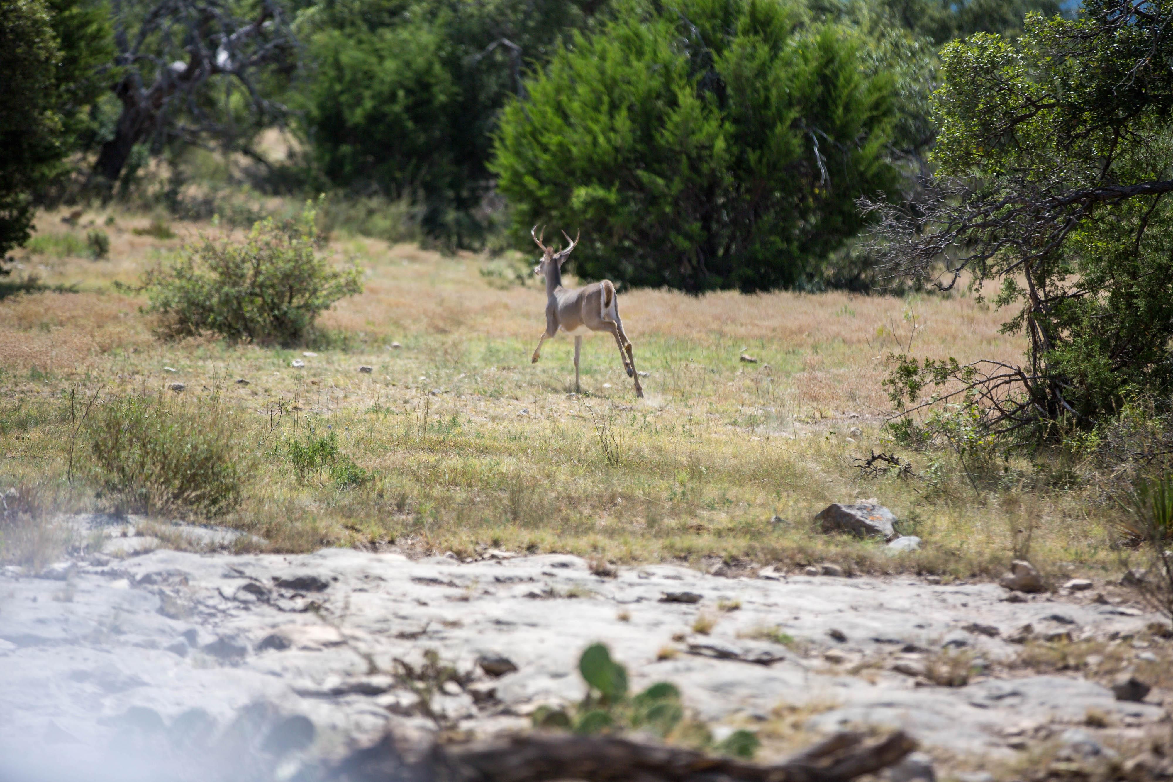 Menard, Menard County, TX Farms and Ranches, Recreational Property