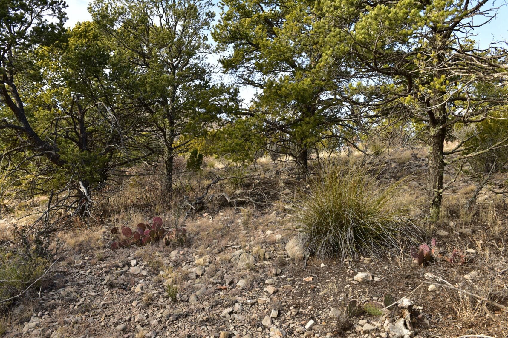 Timberon, Otero County, NM Homesites for sale Property ID 414489347