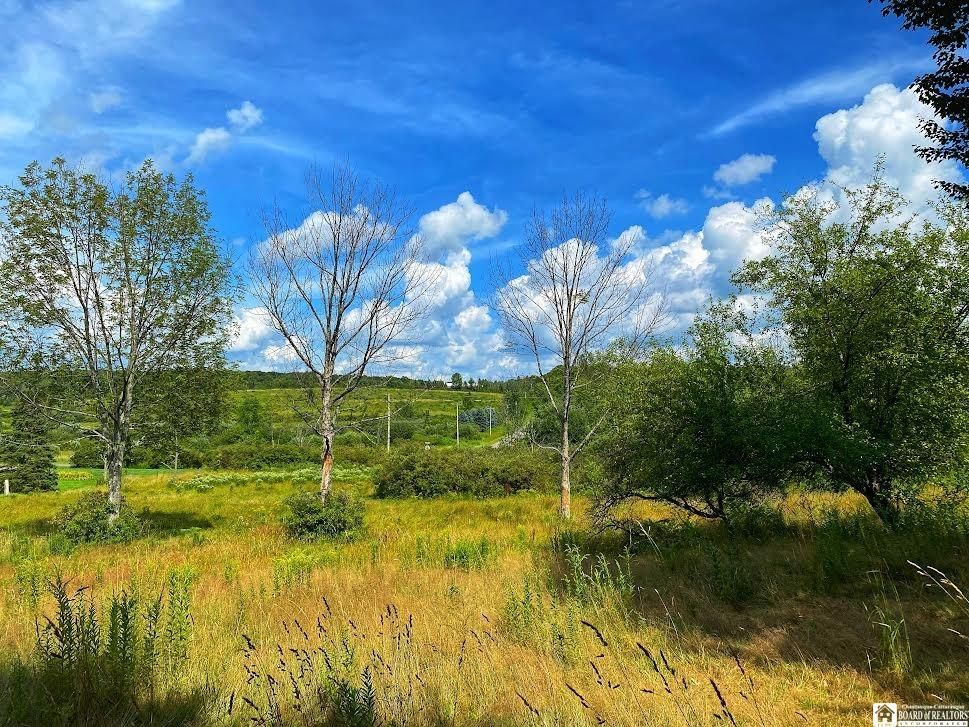 Dewittville, Chautauqua County, NY Undeveloped Land, Homesites for sale