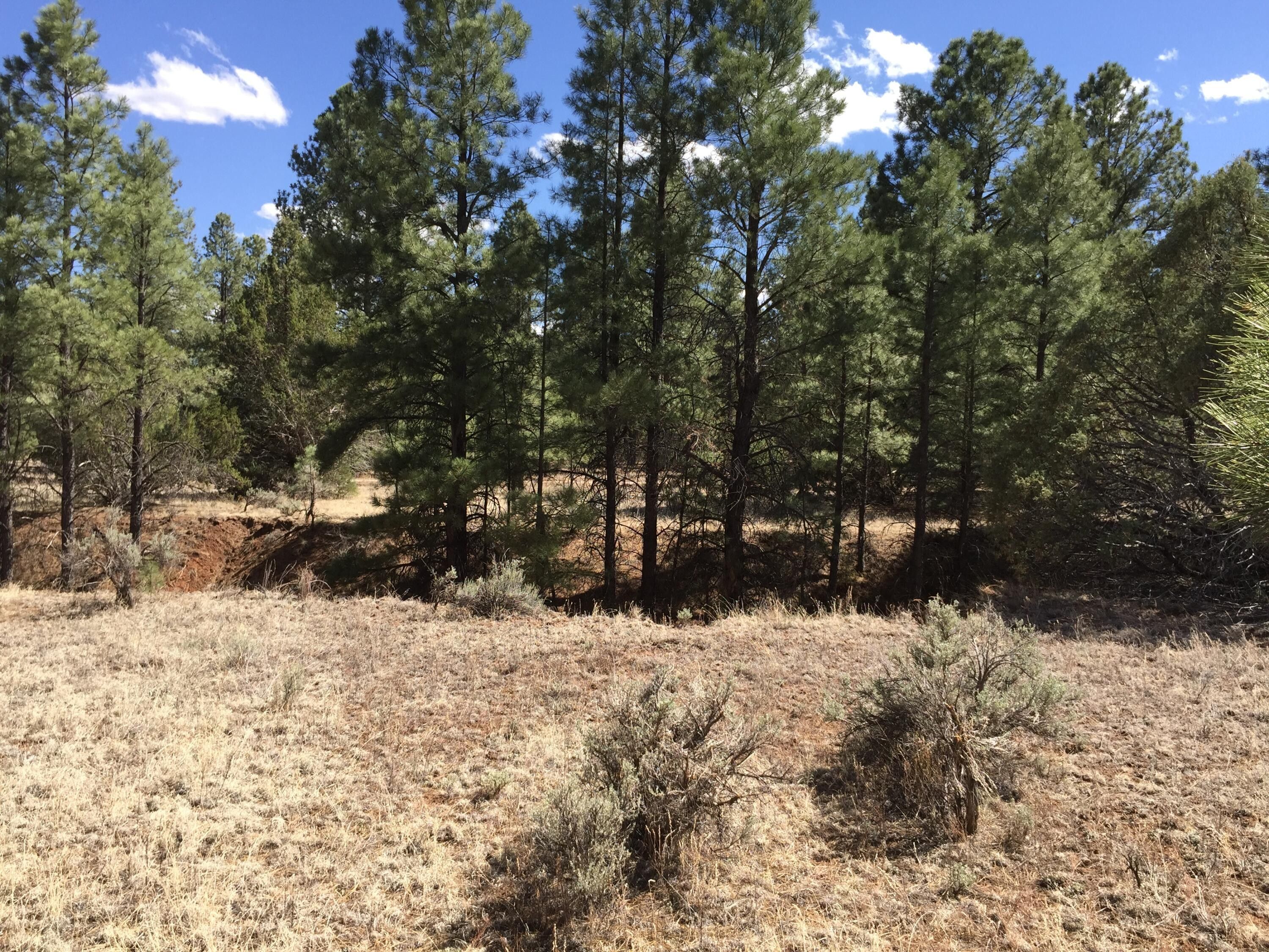 Ramah, McKinley County, NM Undeveloped Land for sale Property ID