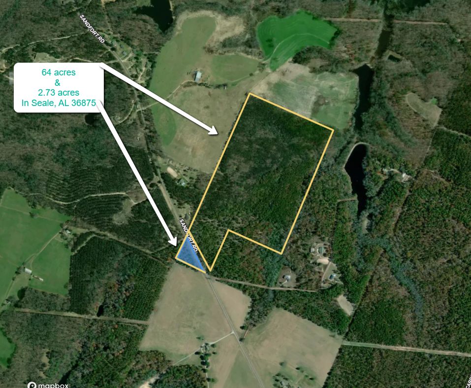 Seale, Russell County, AL Timberland Property, Undeveloped Land