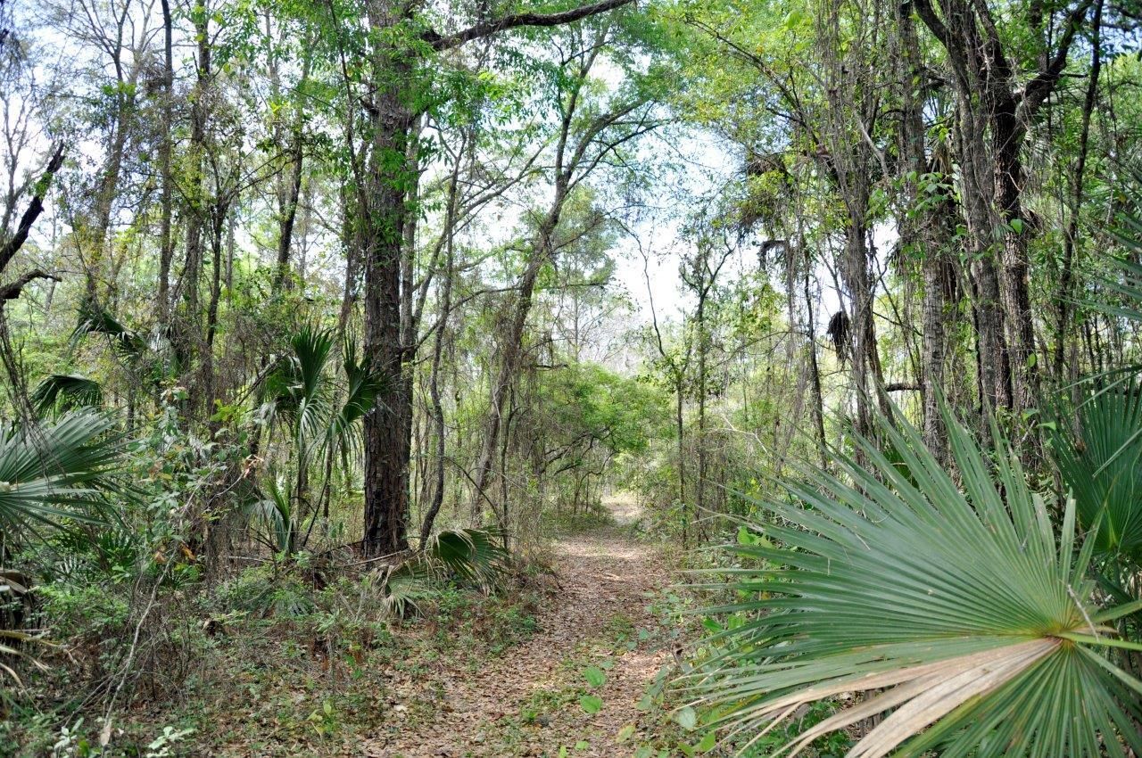Weeki Wachee, Hernando County, FL Undeveloped Land for sale Property ID