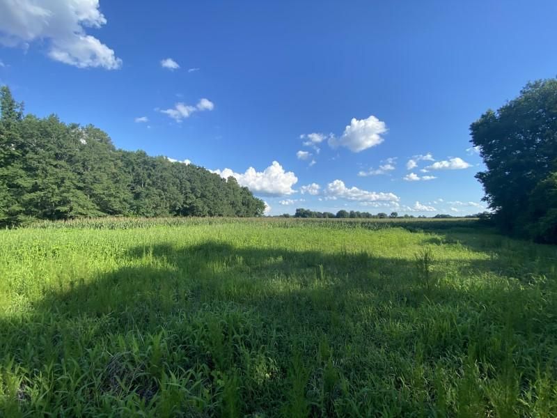 Dalzell, Lee County, SC Farms and Ranches, Recreational Property