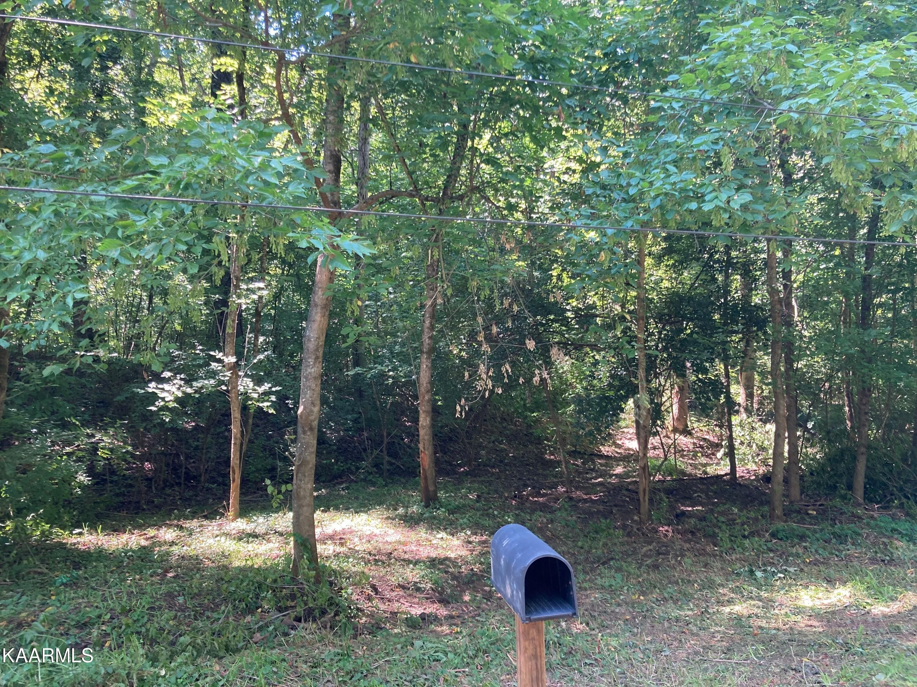 Strawberry Plains, Knox County, TN Undeveloped Land, Homesites for sale