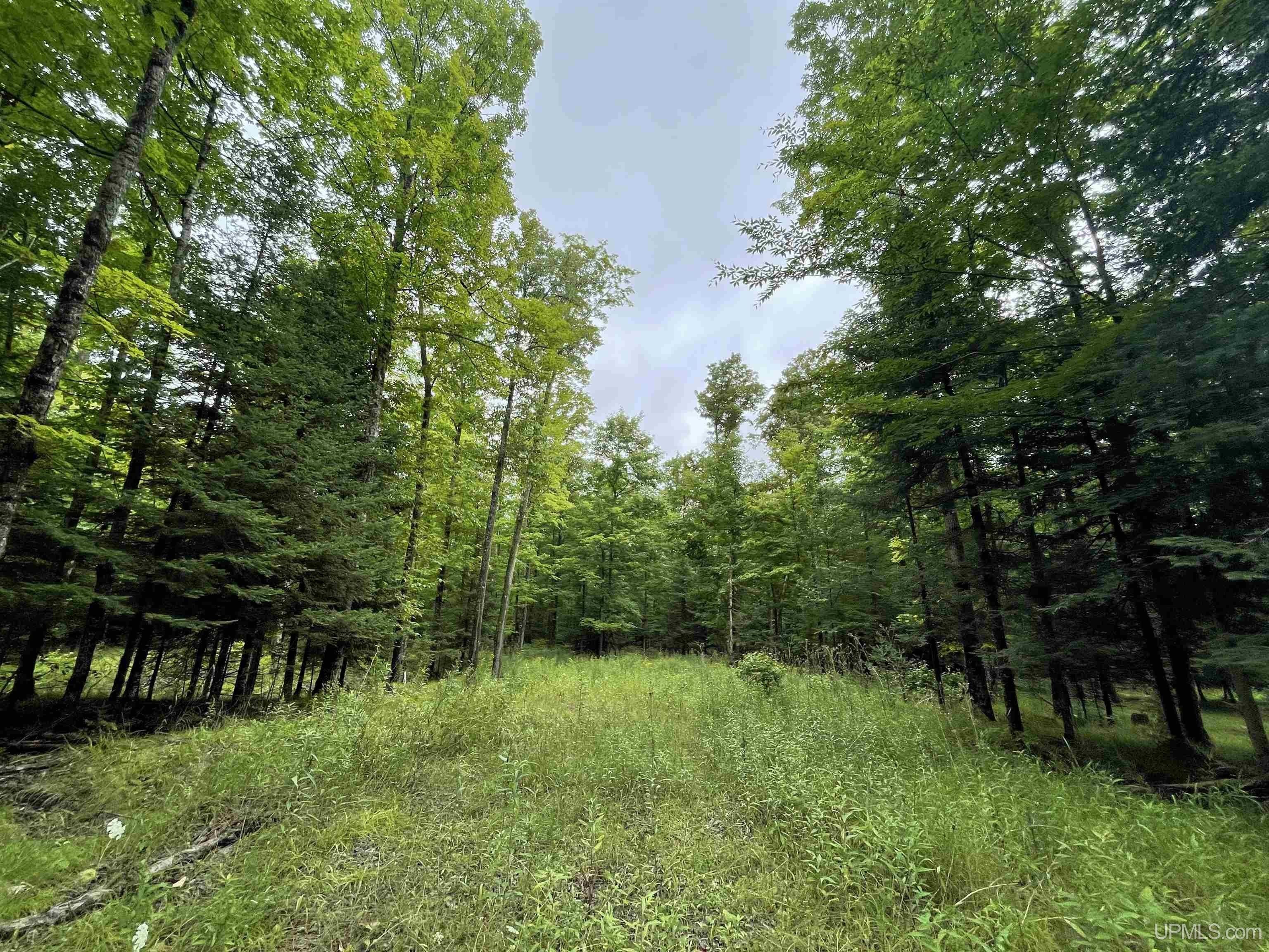 Powers, Menominee County, MI Undeveloped Land for sale Property ID