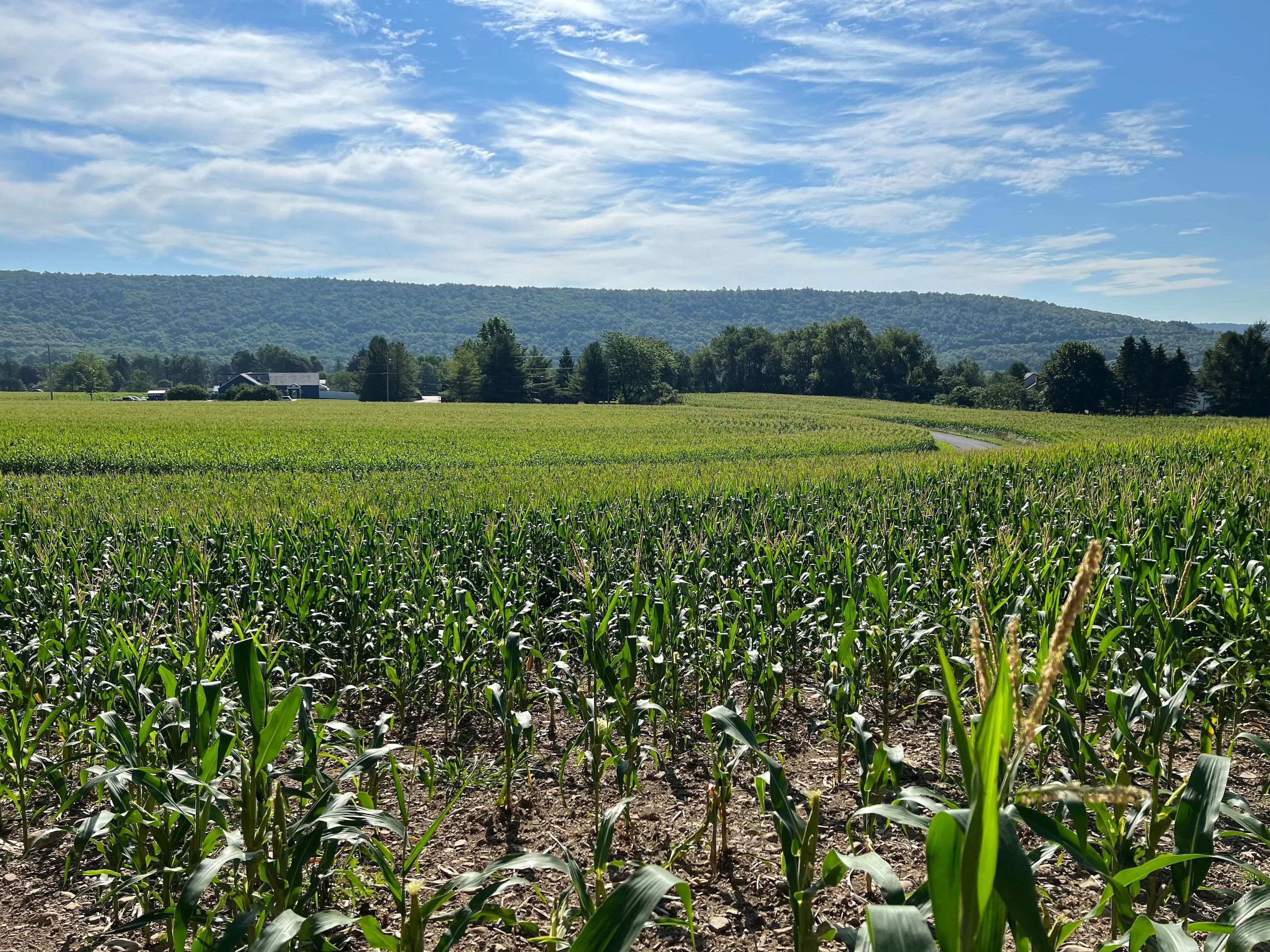 Norwich, Chenango County, NY Commercial Property for sale Property ID 414490921 LandWatch