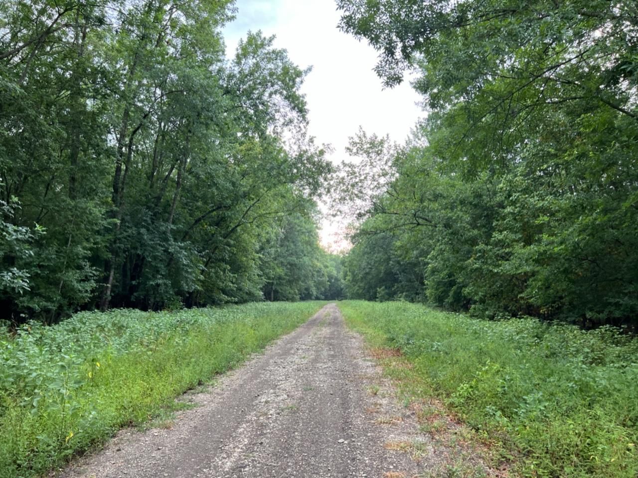 Boxelder, Red River County, TX Farms and Ranches, Recreational Property