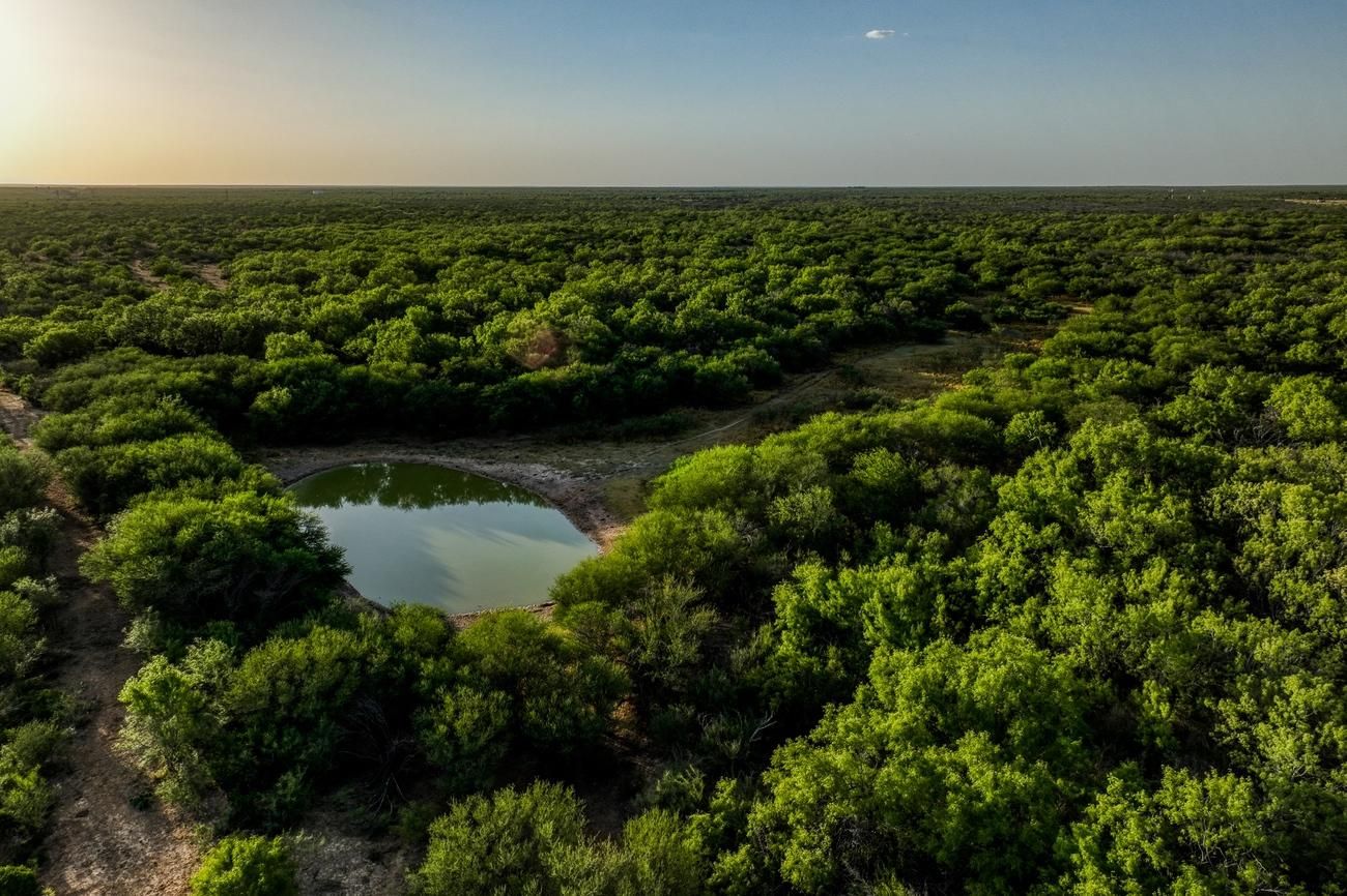551.91 acres in Big Wells, TX, 78830 LandWatch