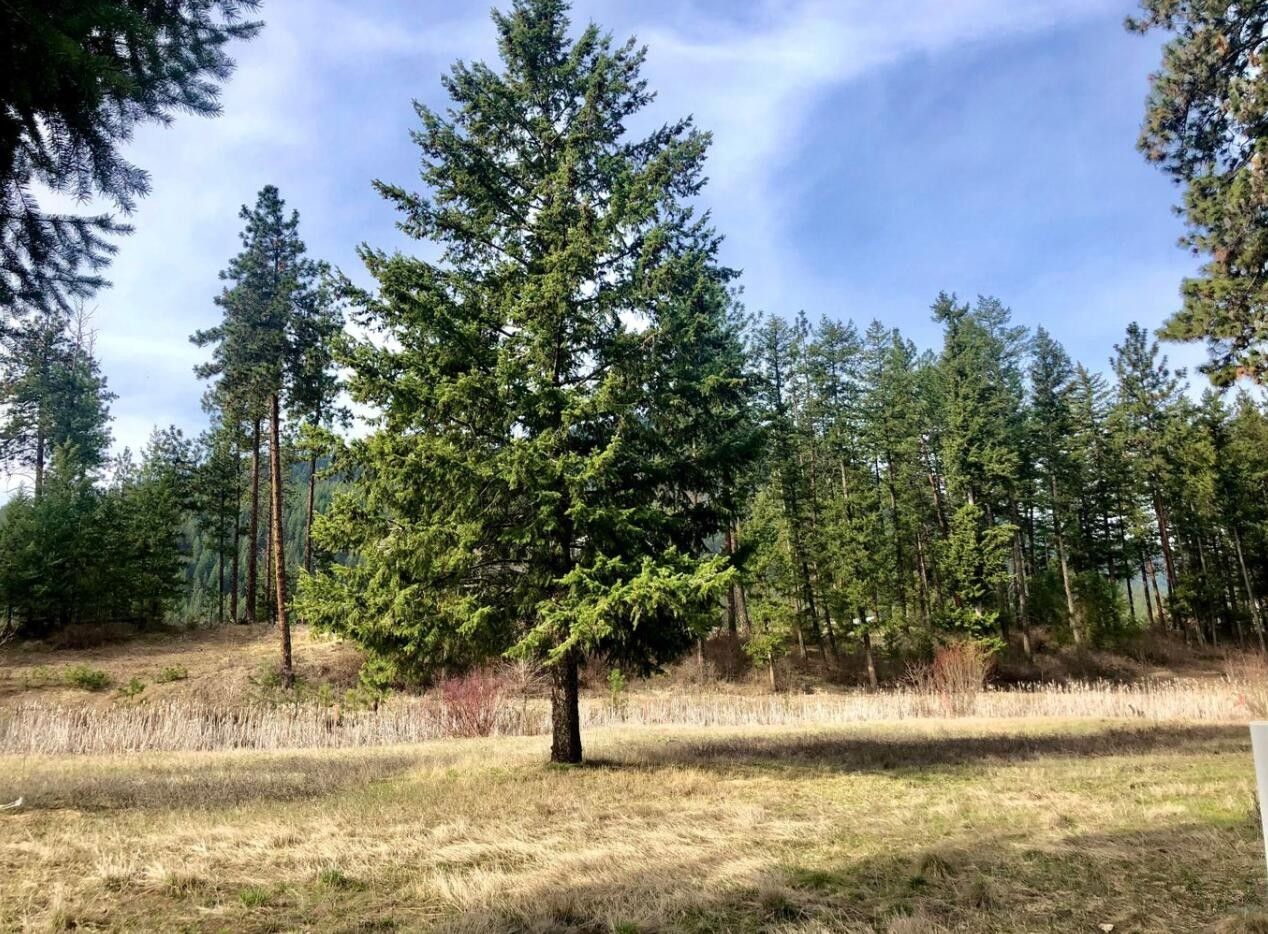 Superior, Mineral County, MT Undeveloped Land, Homesites for sale