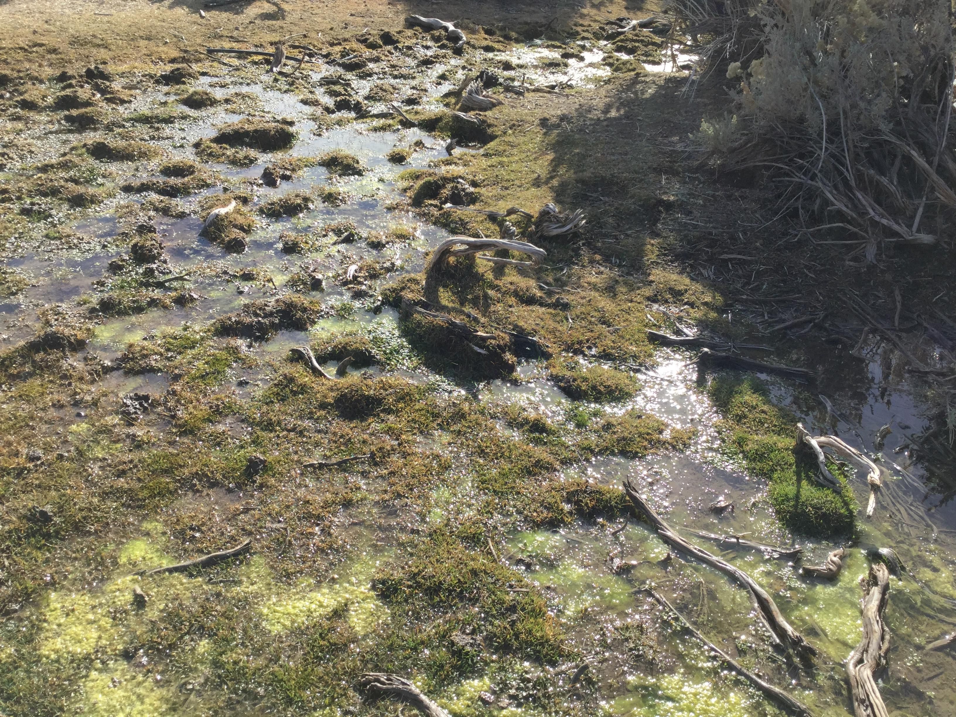 Lida, Esmeralda County, NV Recreational Property, Undeveloped Land for