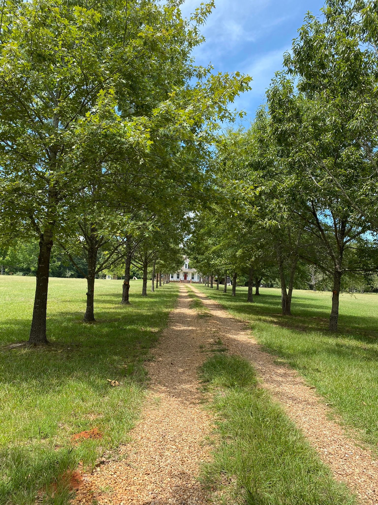 Caledonia, Lowndes County, MS House for sale Property ID 414494234