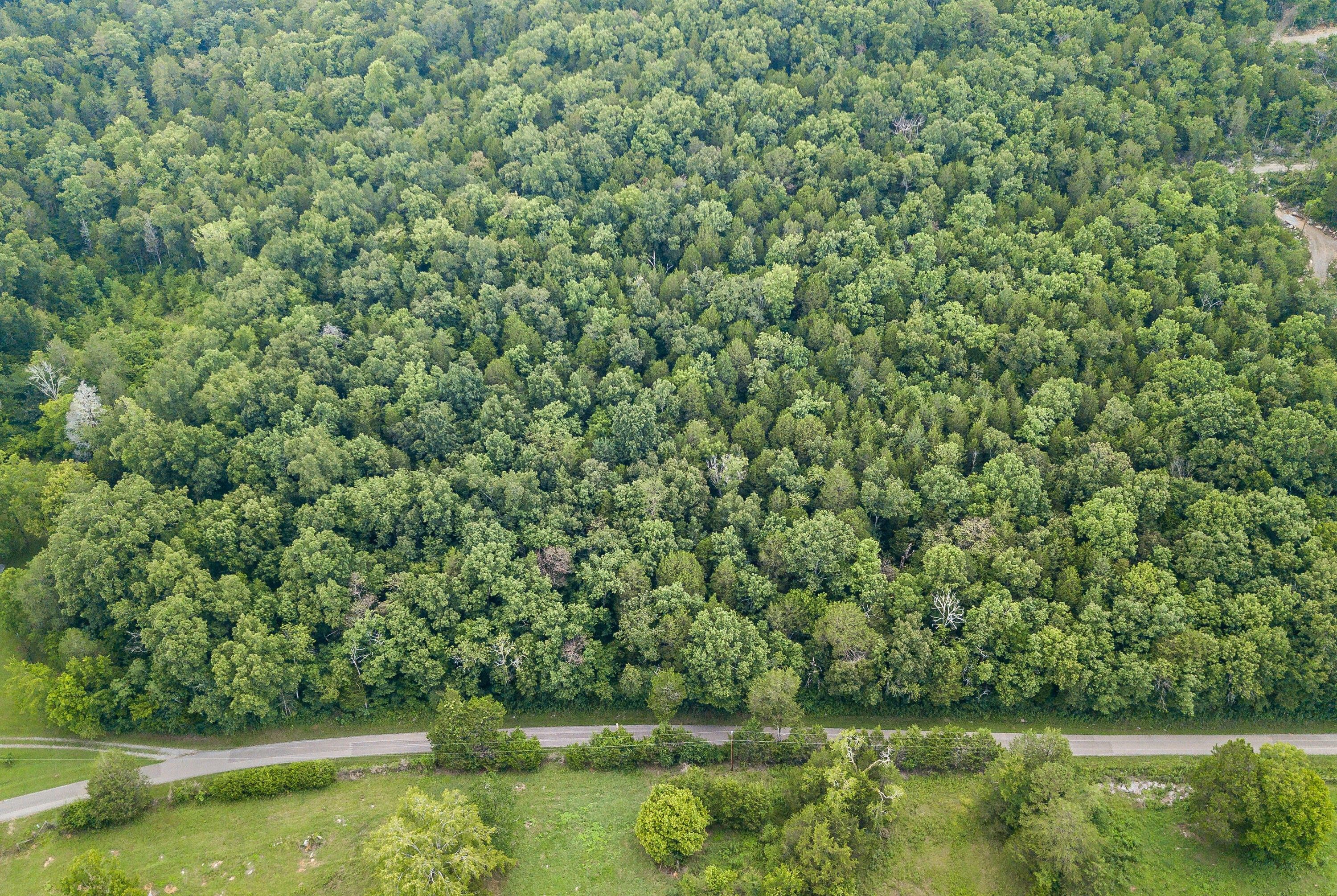 Trenton, Dade County, GA Undeveloped Land for sale Property ID