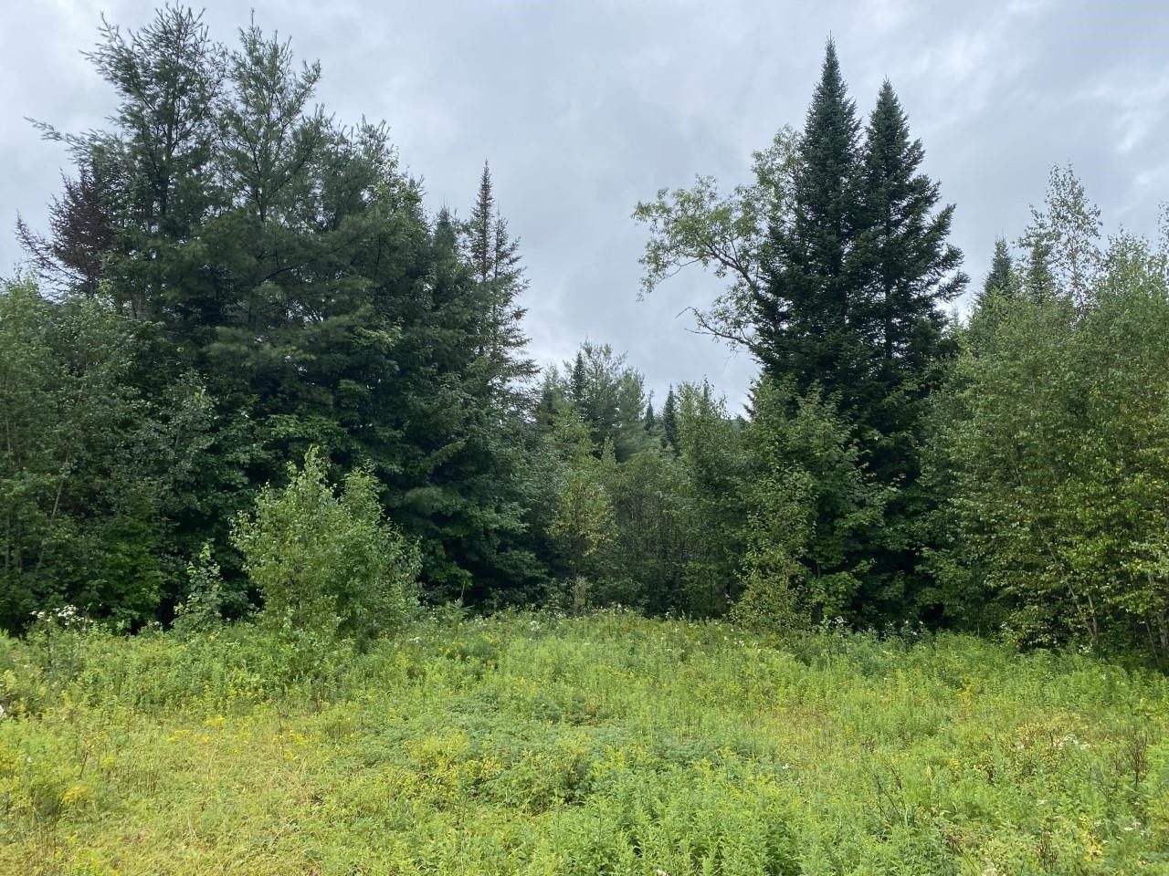 Milan, Coos County, NH Undeveloped Land for sale Property ID 414494762
