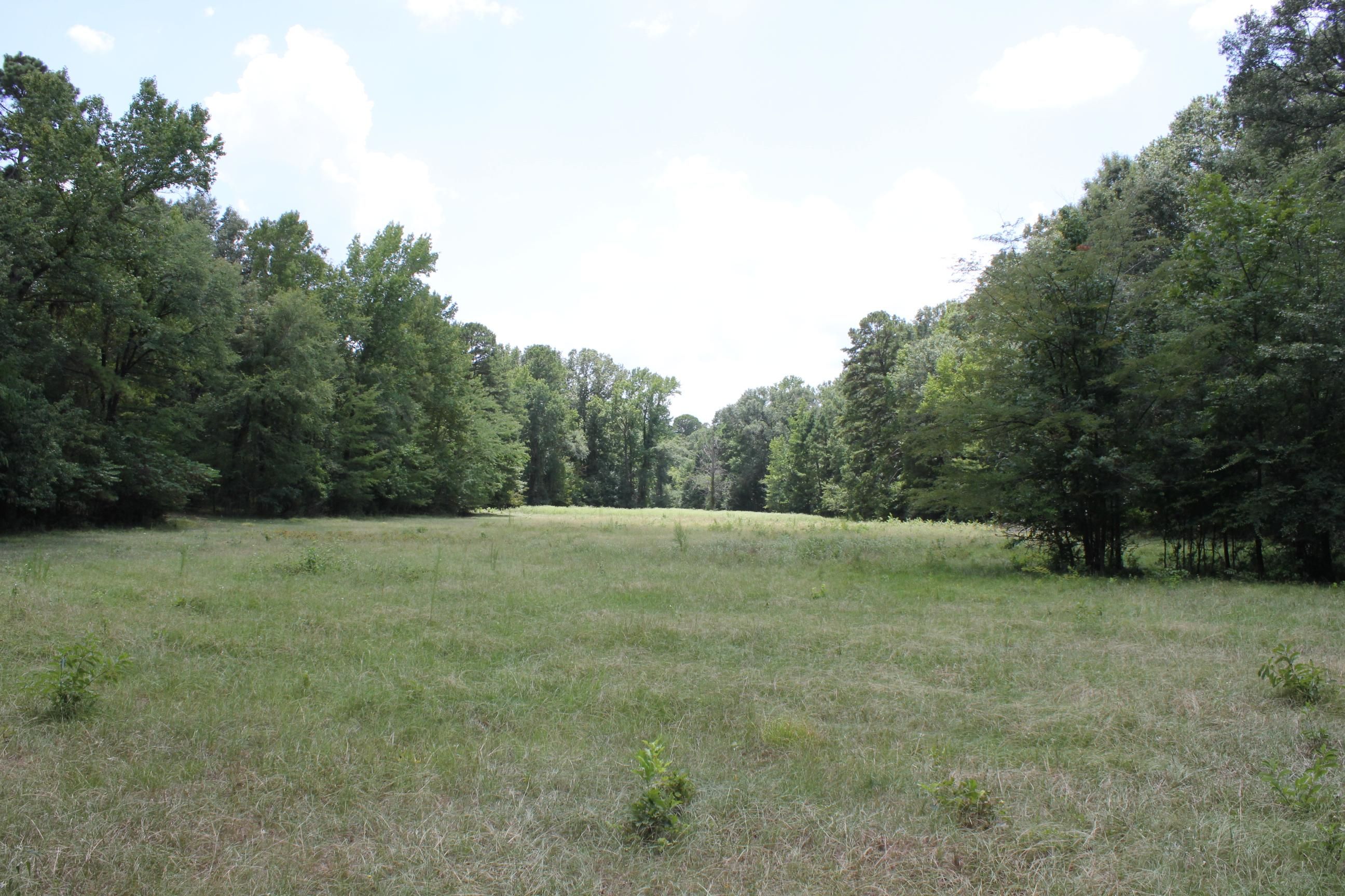 Henderson, Rusk County, TX Farms and Ranches, Timberland Property