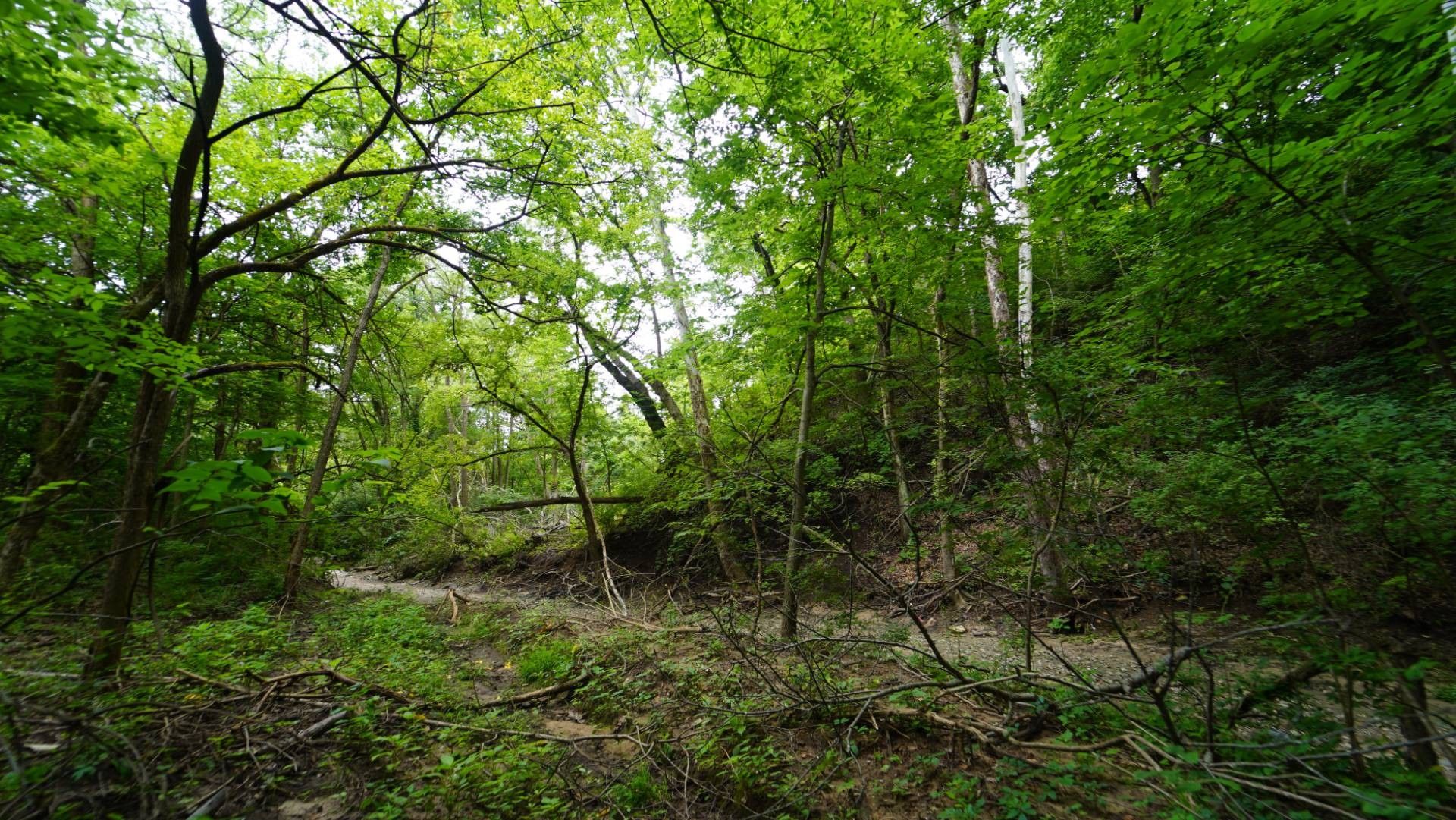 Peoria, Peoria County, IL Undeveloped Land for sale Property ID