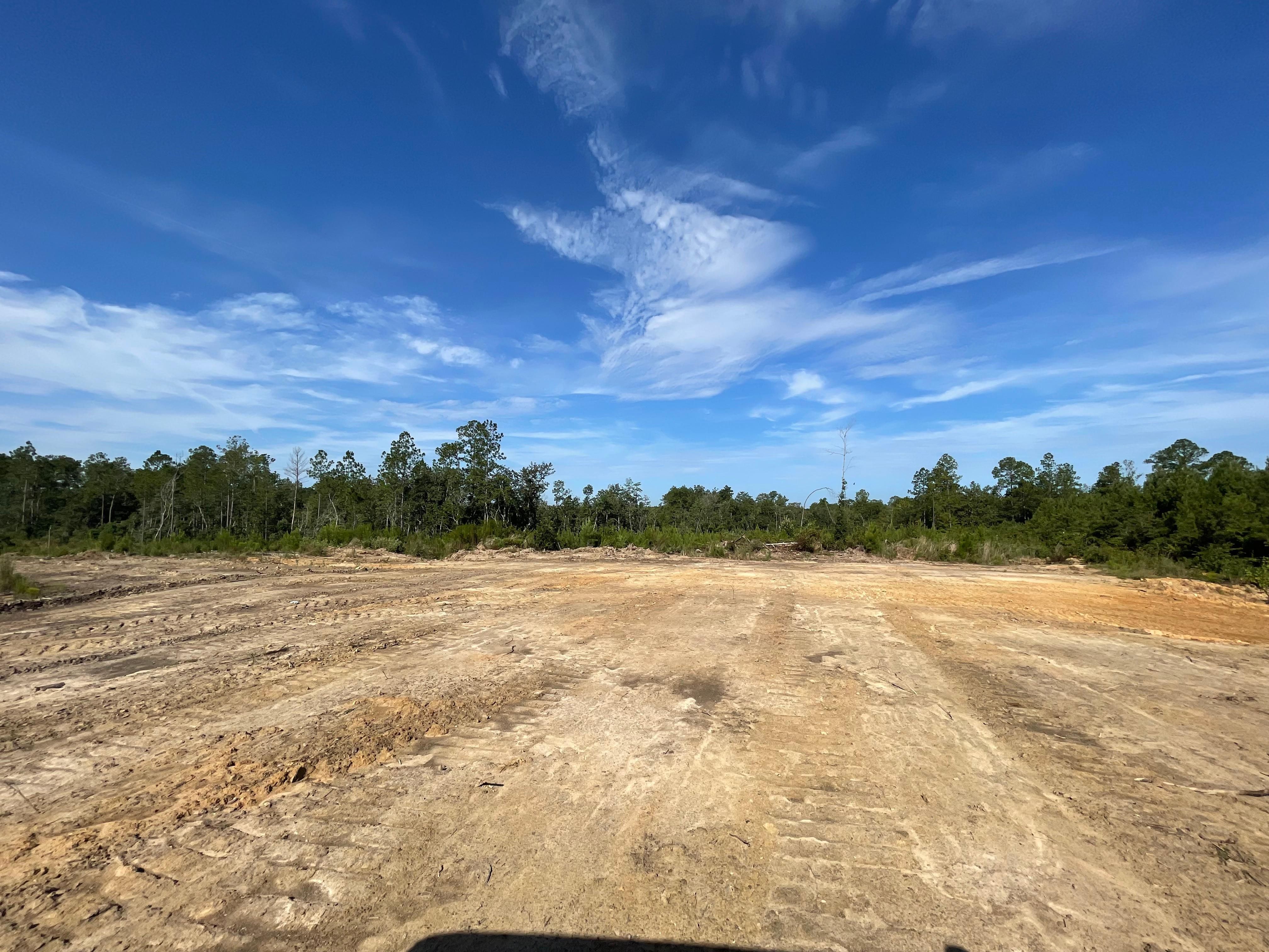 Antioch Church Road, Millry, AL 36558 MLS Magee Tract LandWatch