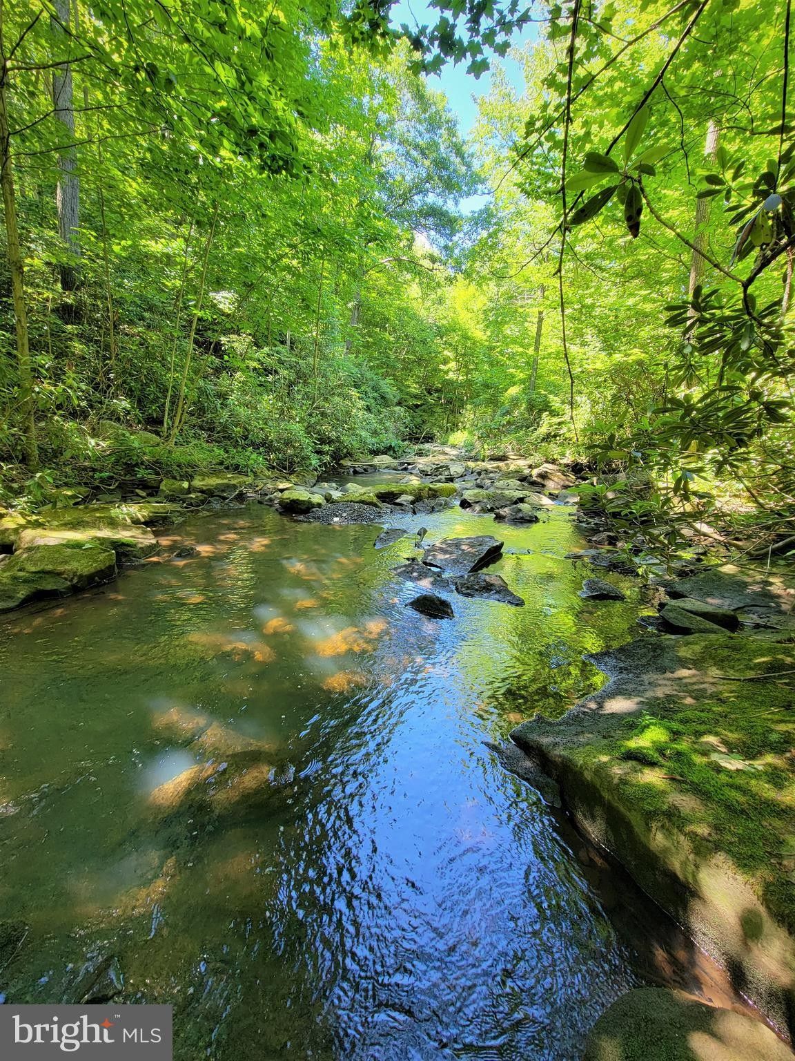 Grantsville, Garrett County, MD Undeveloped Land for sale Property ID