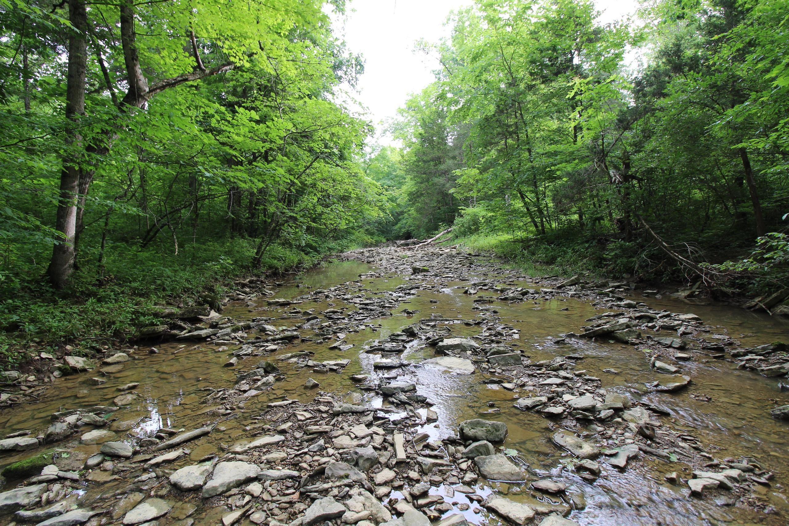 Peebles, Adams County, OH Recreational Property, Timberland Property, Hunting Property for sale