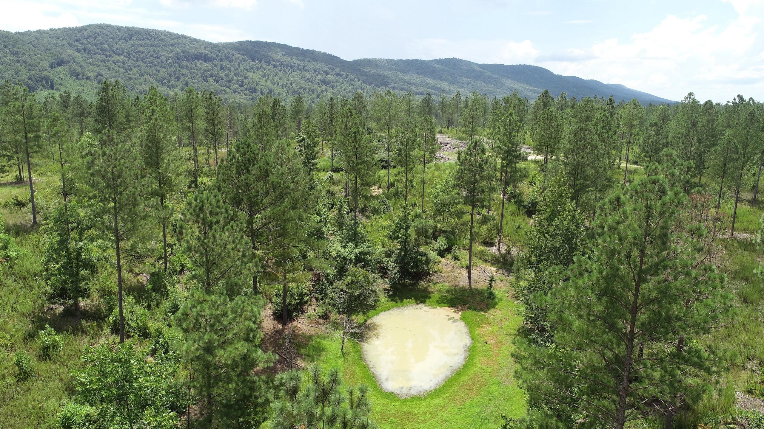 Lyerly, Chattooga County, GA Recreational Property, Timberland Property