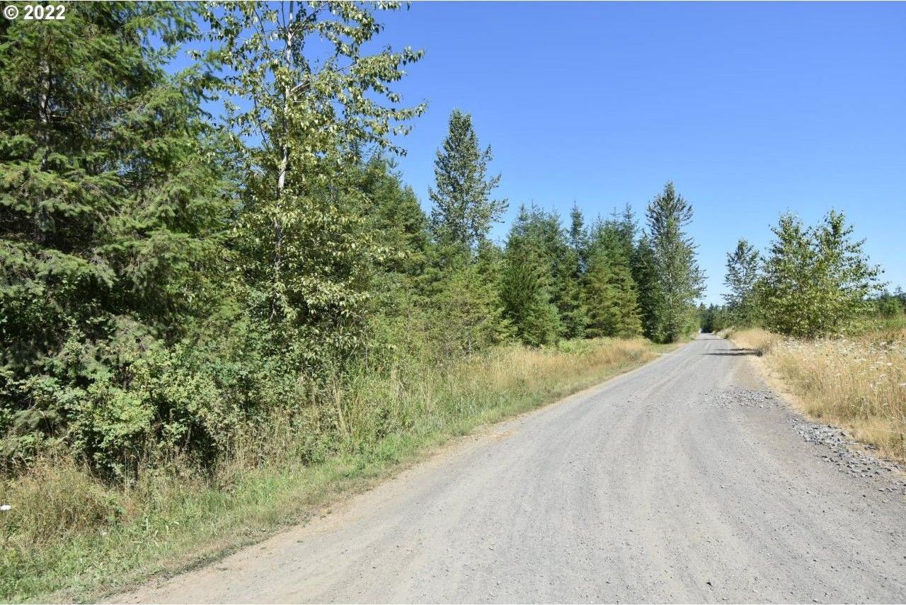 Toledo, Lewis County, WA Farms and Ranches, Homesites for sale Property