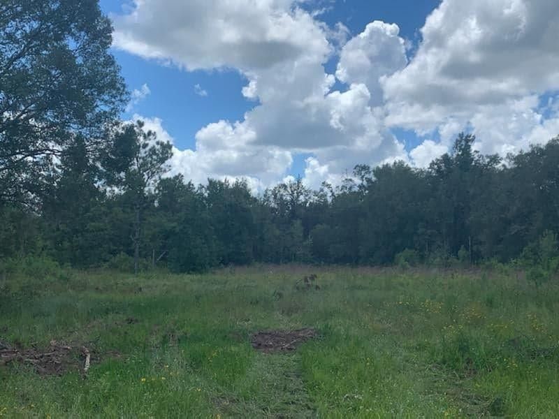 Cross City, Dixie County, FL Undeveloped Land for sale Property ID