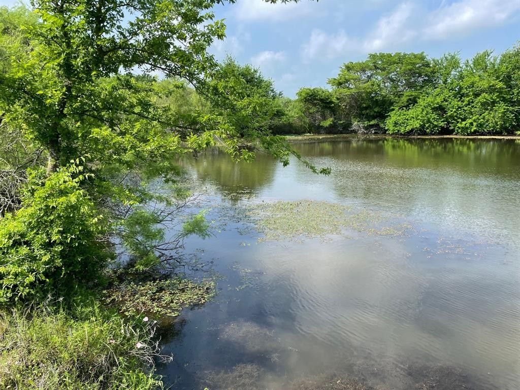 Wortham, Navarro County, TX Undeveloped Land for sale Property ID