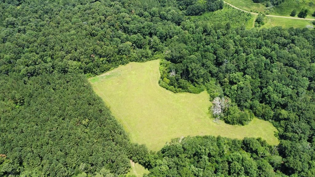 Magnolia, Amite County, MS Recreational Property, Timberland Property
