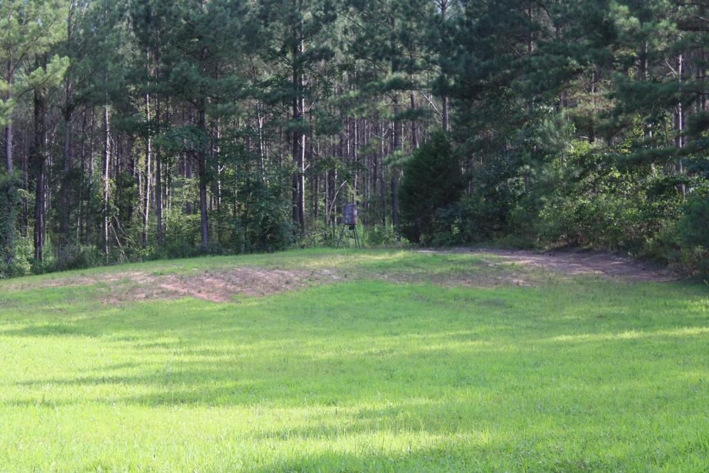 Saluda, Saluda County, SC Recreational Property, Timberland Property