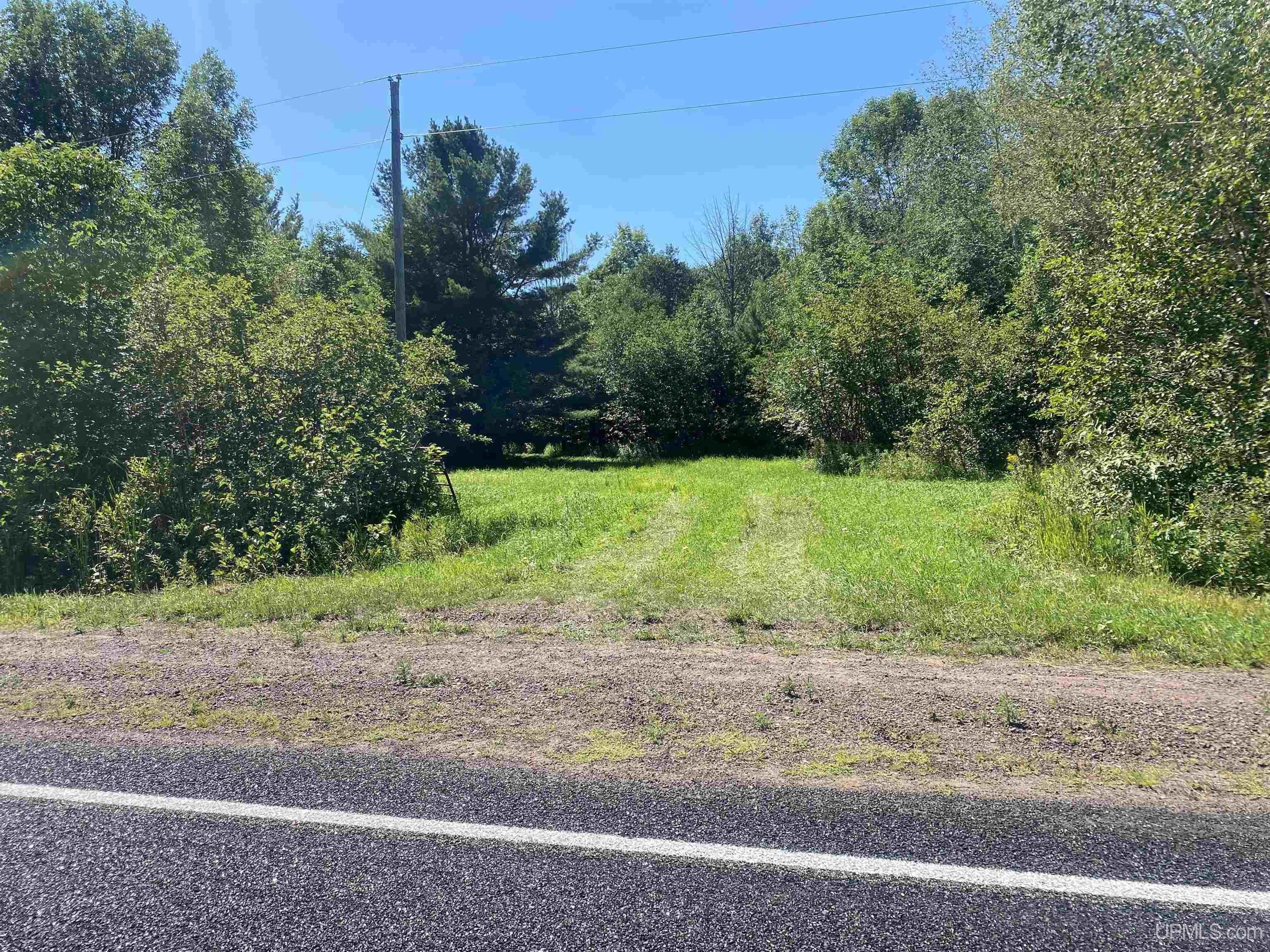 Ontonagon, Ontonagon County, MI Undeveloped Land for sale Property ID