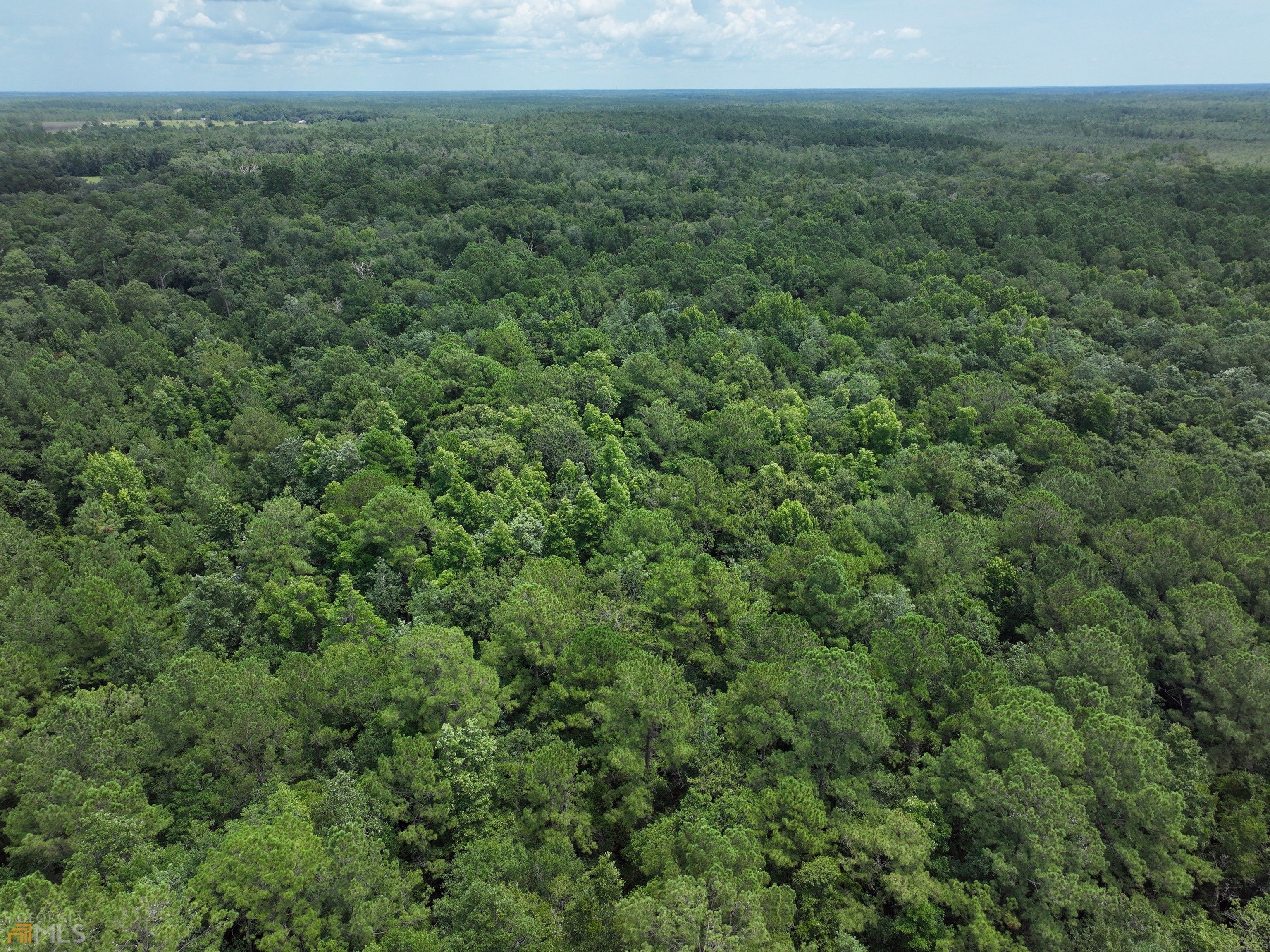 Hortense, Brantley County, GA Undeveloped Land for sale Property ID