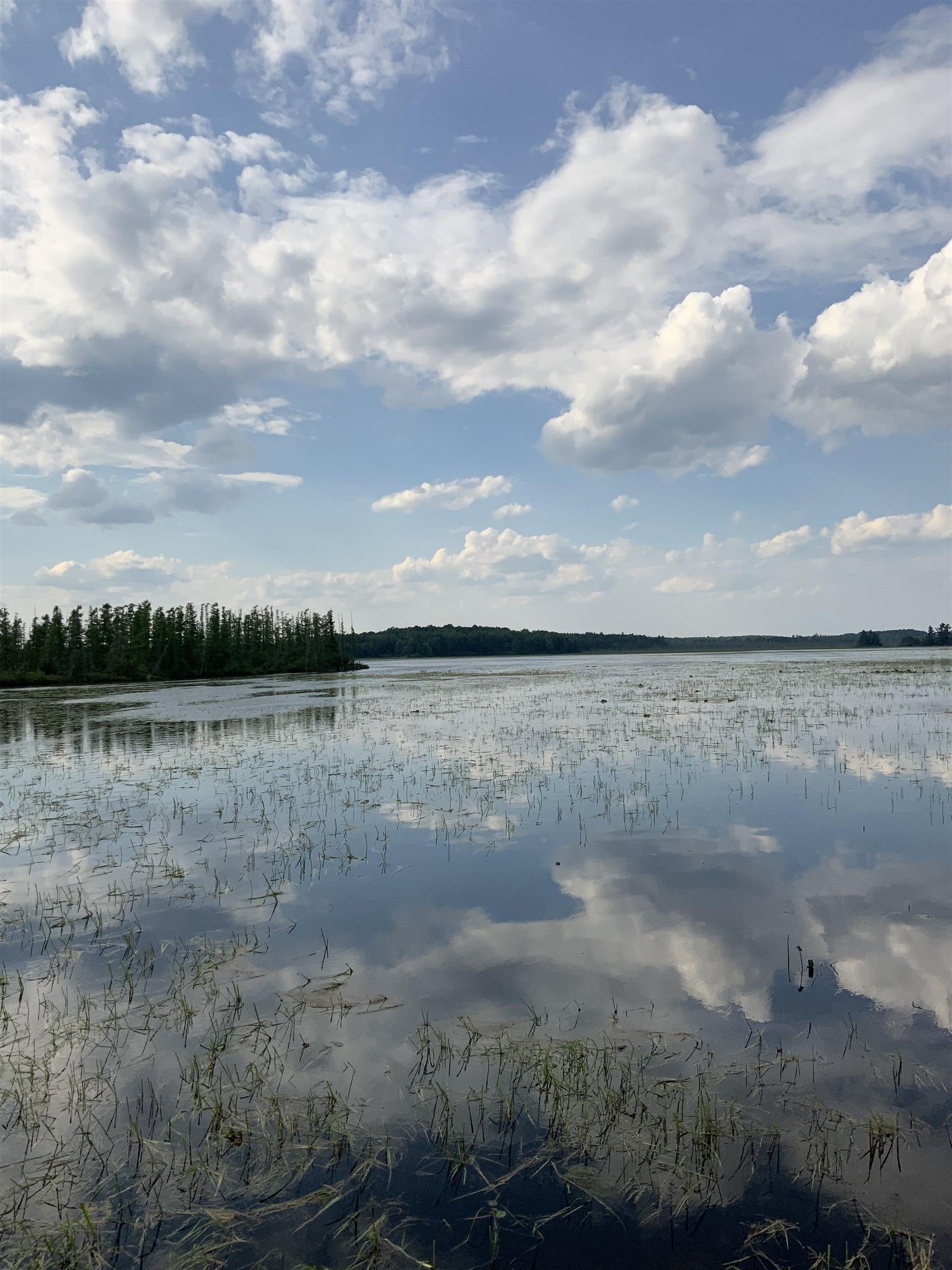 Crandon, Forest County, WI Farms and Ranches, Lakefront Property