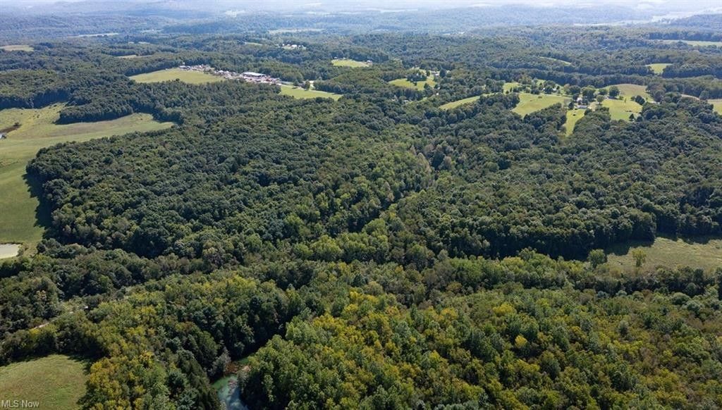 Lisbon, Columbiana County, OH Undeveloped Land for sale Property ID