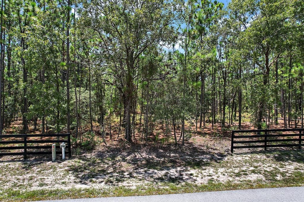Wildwood, Sumter County, FL Farms and Ranches, Homesites for sale