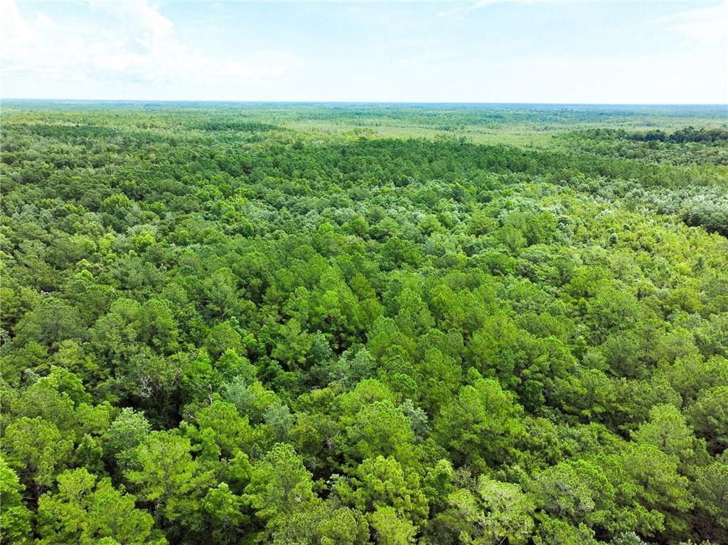 Waynesville, Brantley County, GA Undeveloped Land for sale Property ID