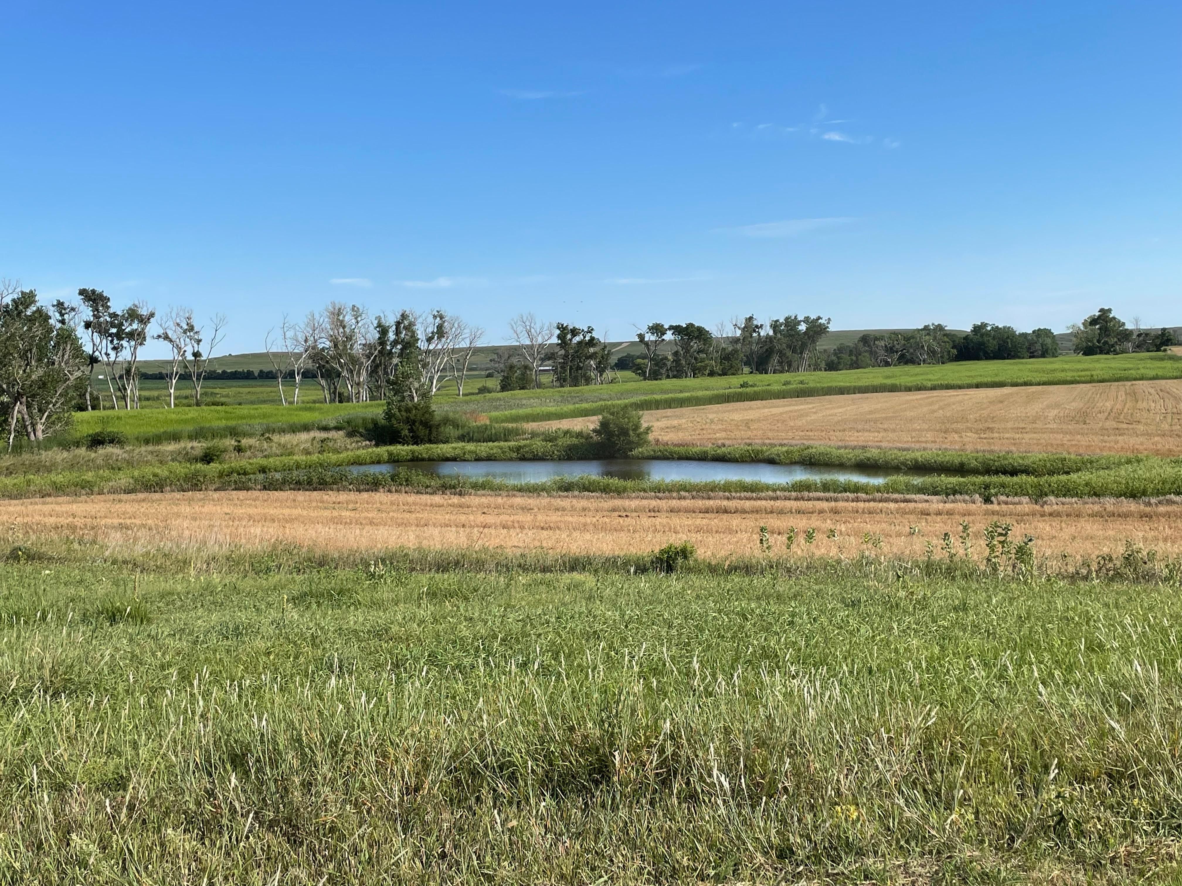 117 acres in Ellsworth, KS, 67439 LandWatch