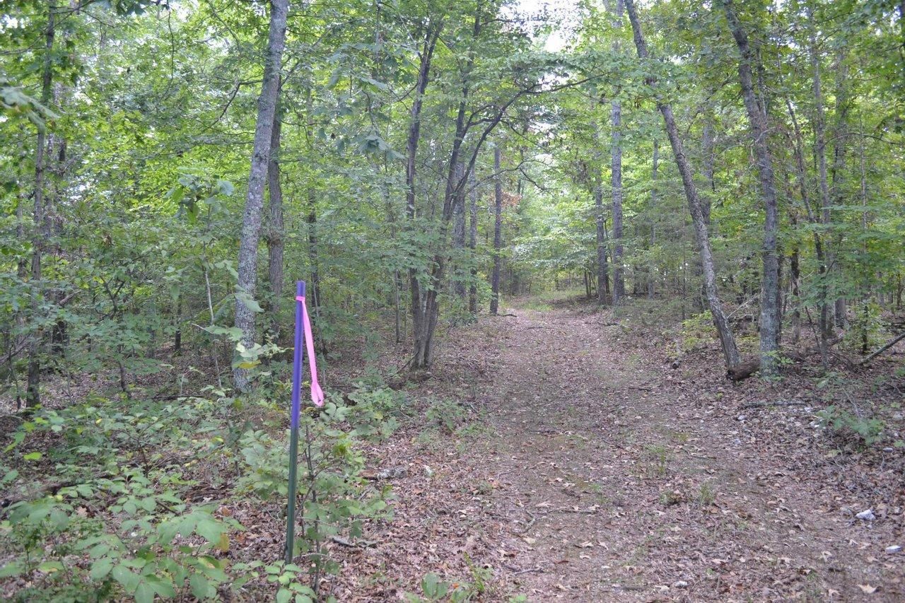 Saint Joe, Searcy County, AR Recreational Property, Undeveloped Land