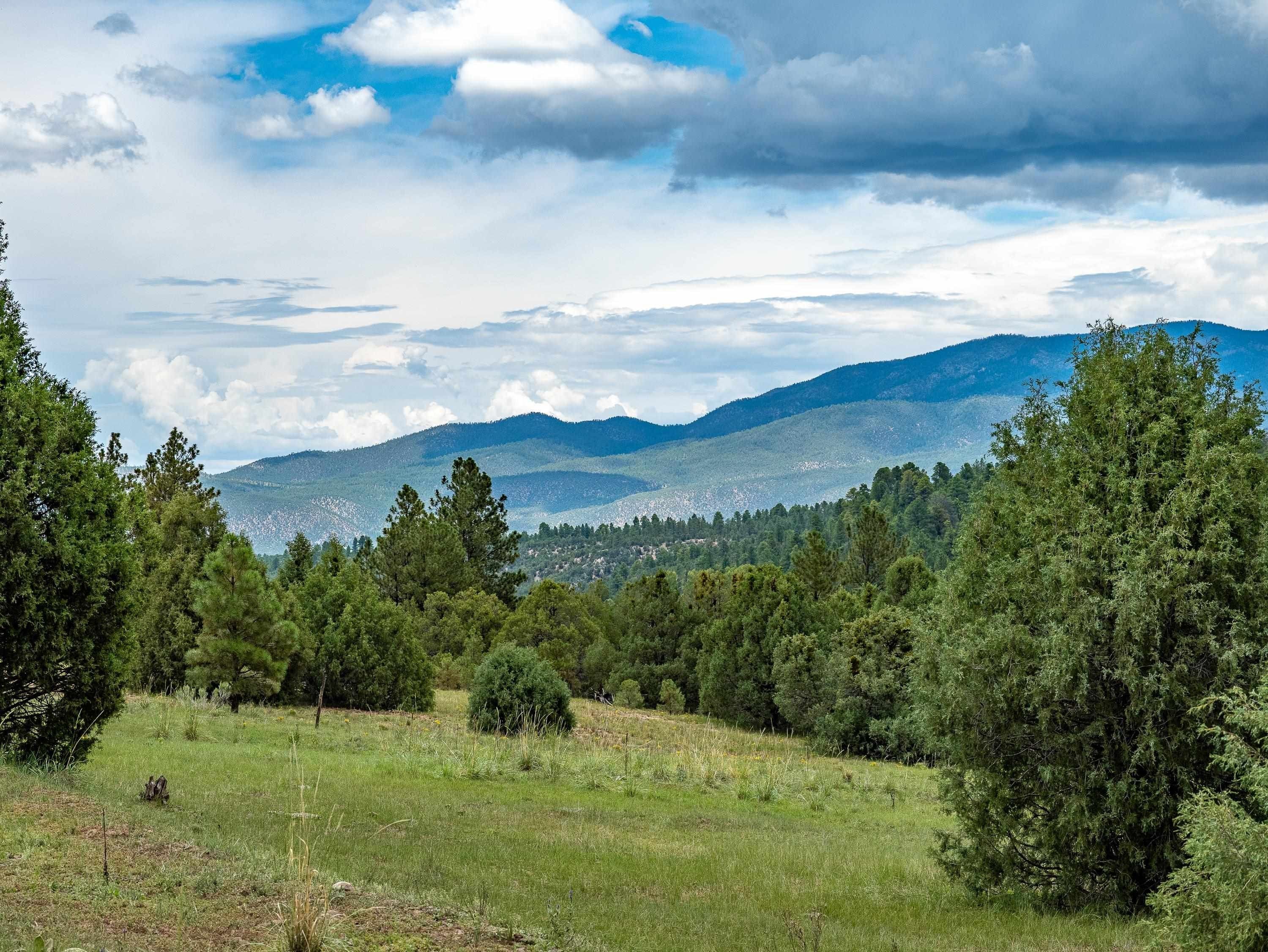 Chamisal, Taos County, NM Undeveloped Land for sale Property ID 414508660 LandWatch