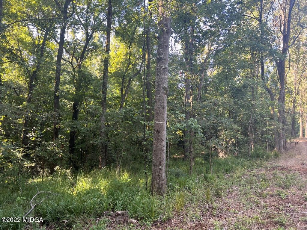 Macon, Bibb County, GA Undeveloped Land, Lakefront Property, Waterfront