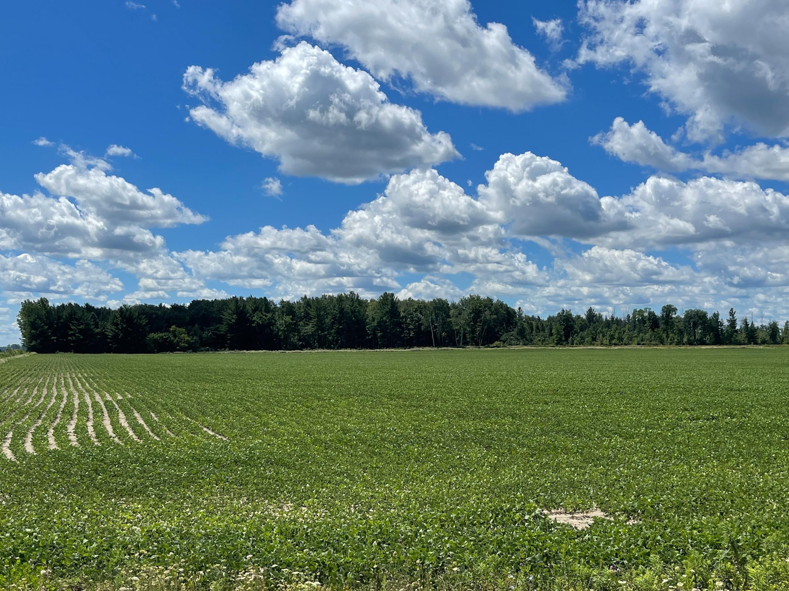 4245 Banner Road, Deckerville, MI 48441 LandWatch