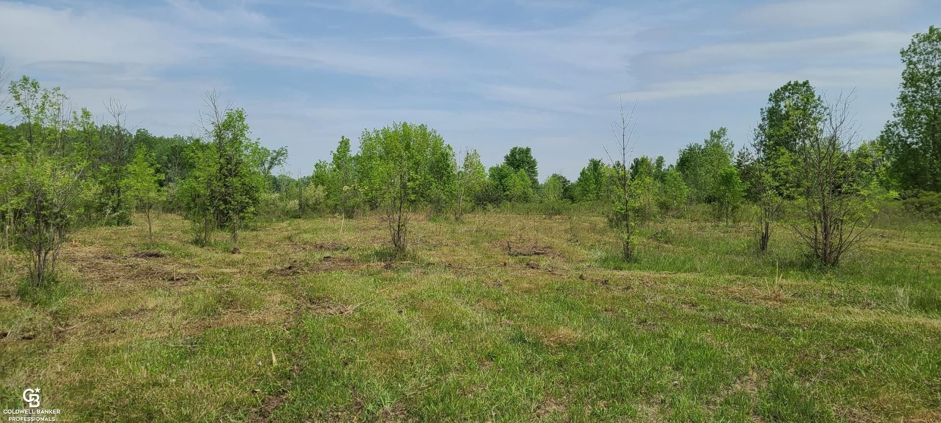 Wales, Saint Clair County, MI Undeveloped Land for sale Property ID