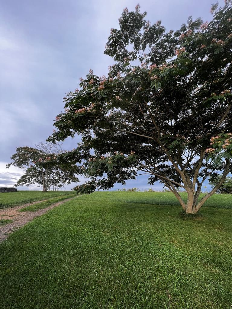 Hillsville, Carroll County, VA Farms and Ranches, Commercial Property for sale Property ID